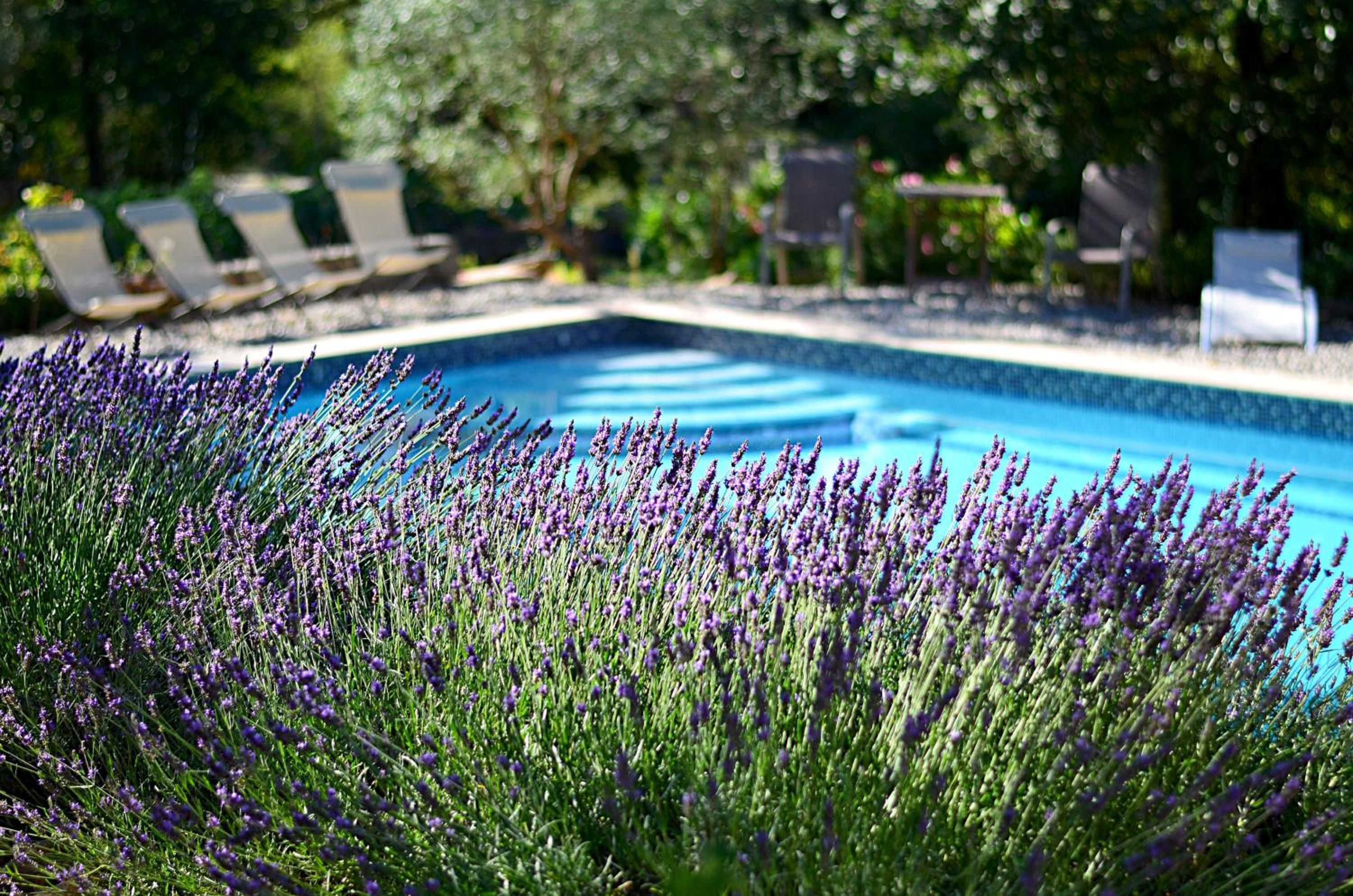 Holiday Home photo 3
