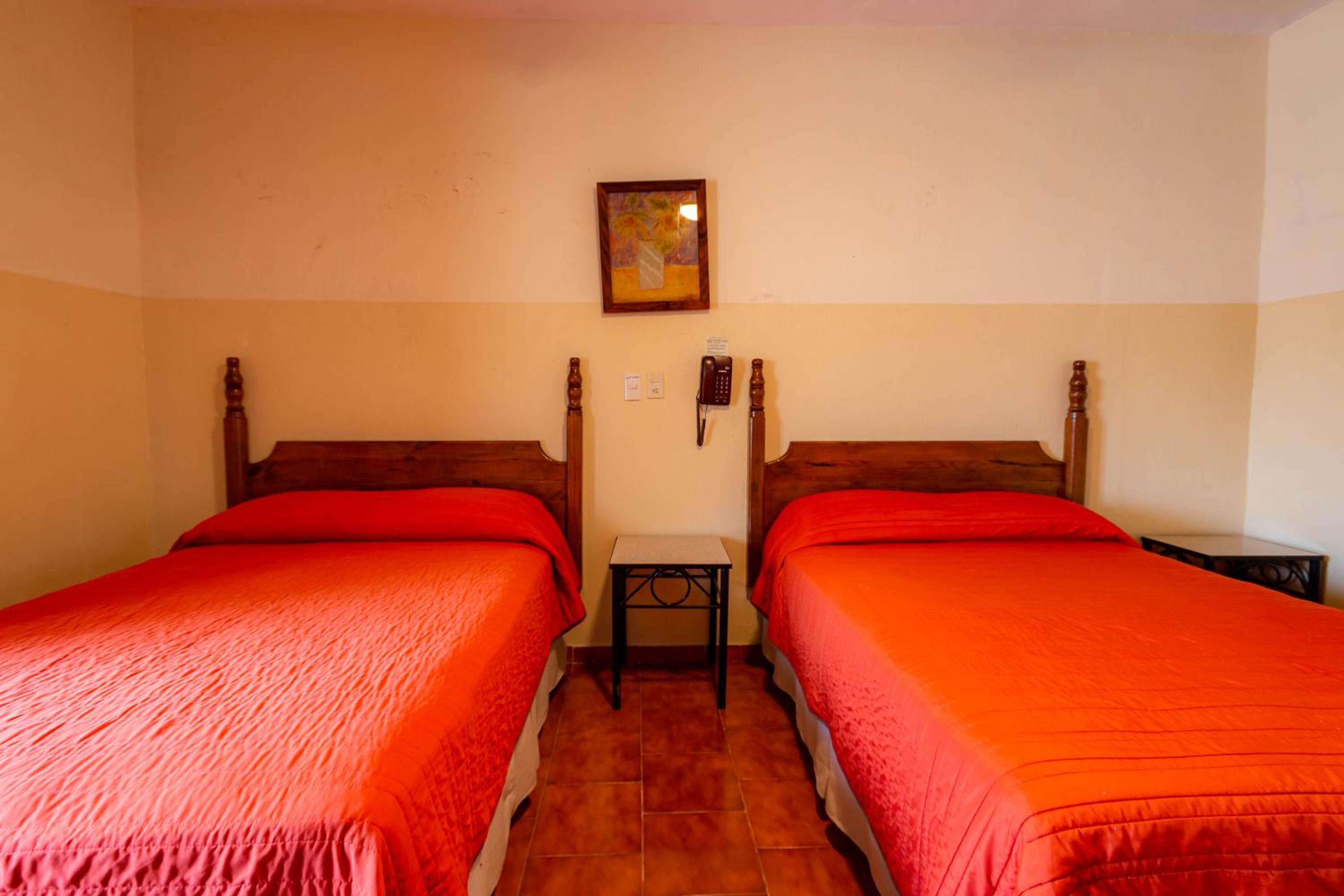 Twin Room photo 1