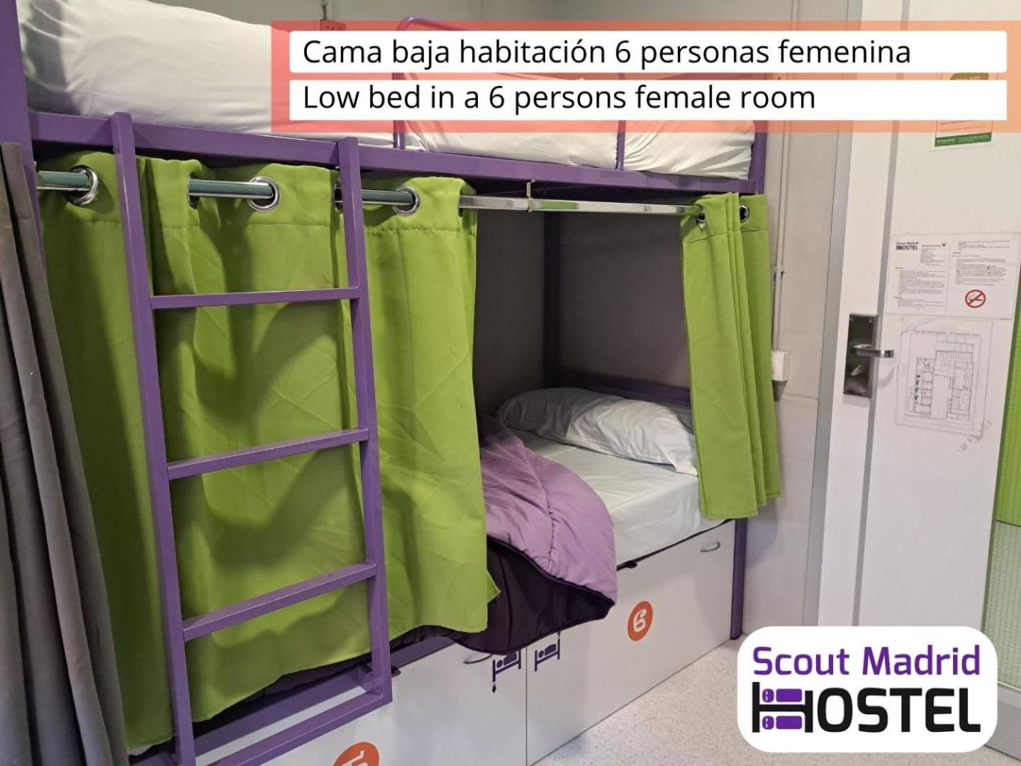 Bed in 6-Bed Female Dormitory Room photo 3
