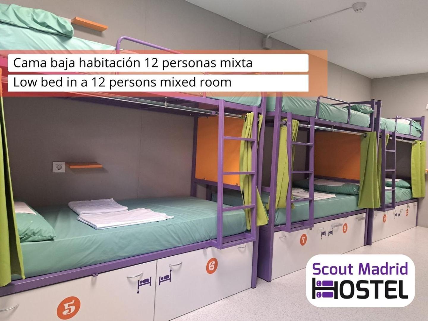 Bunk Bed in Mixed Dormitory Room photo 2