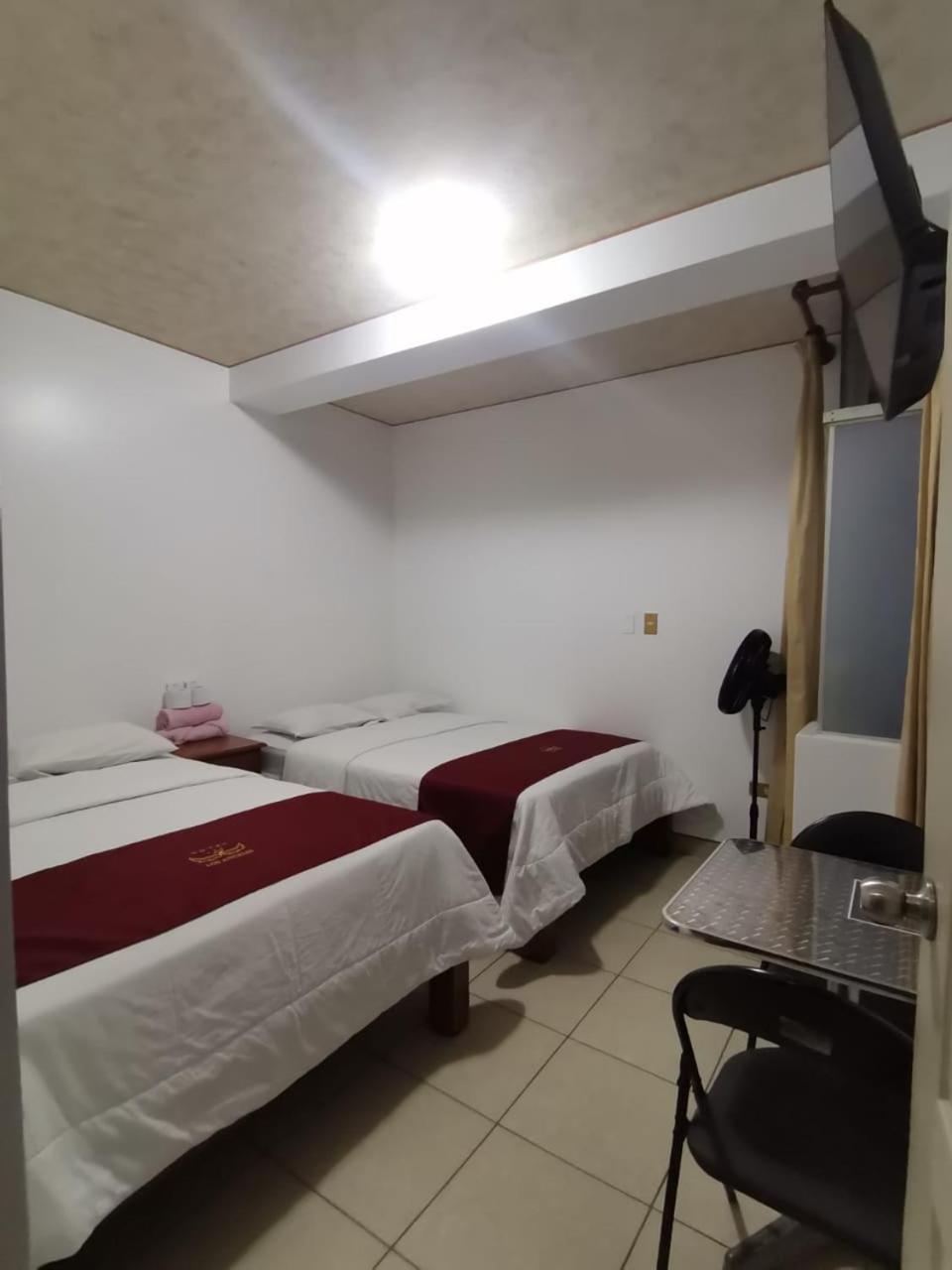 Twin Room photo 3