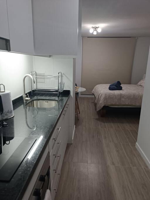 One-Bedroom Apartment photo 2