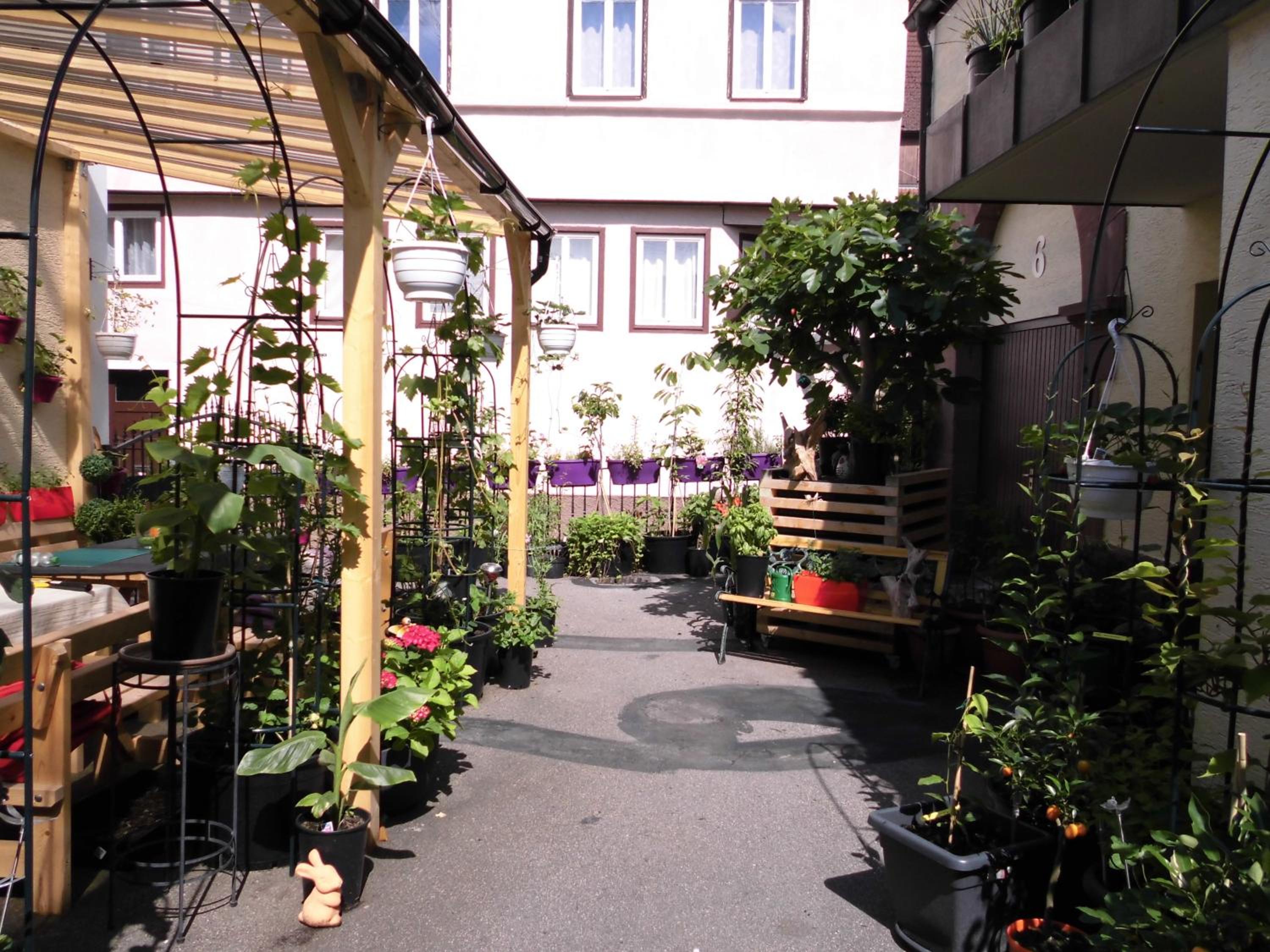 Apartment with City View photo 2