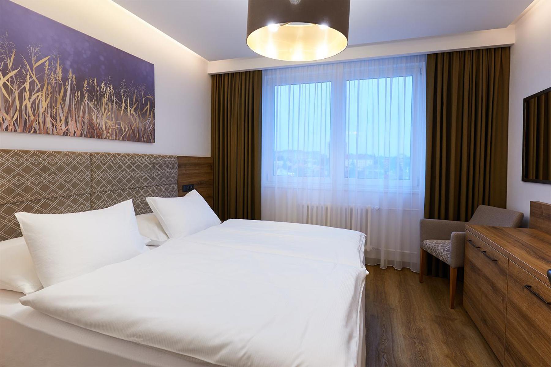 Deluxe Suite photo 3