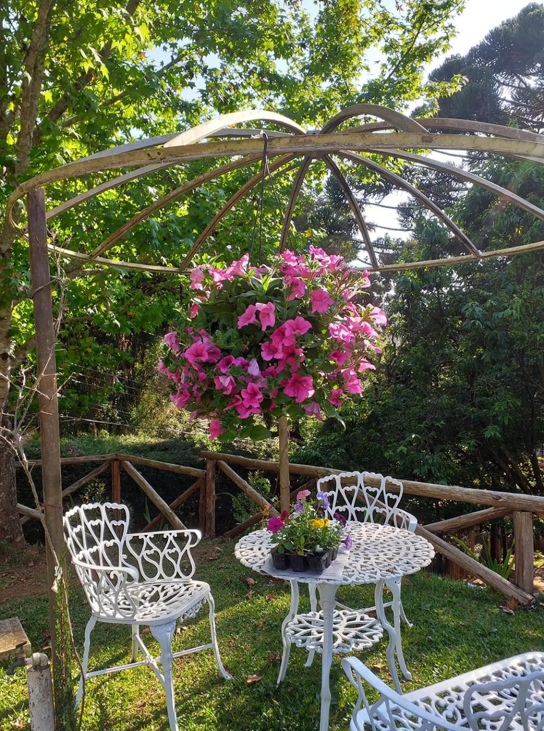 Suite - Photo 27