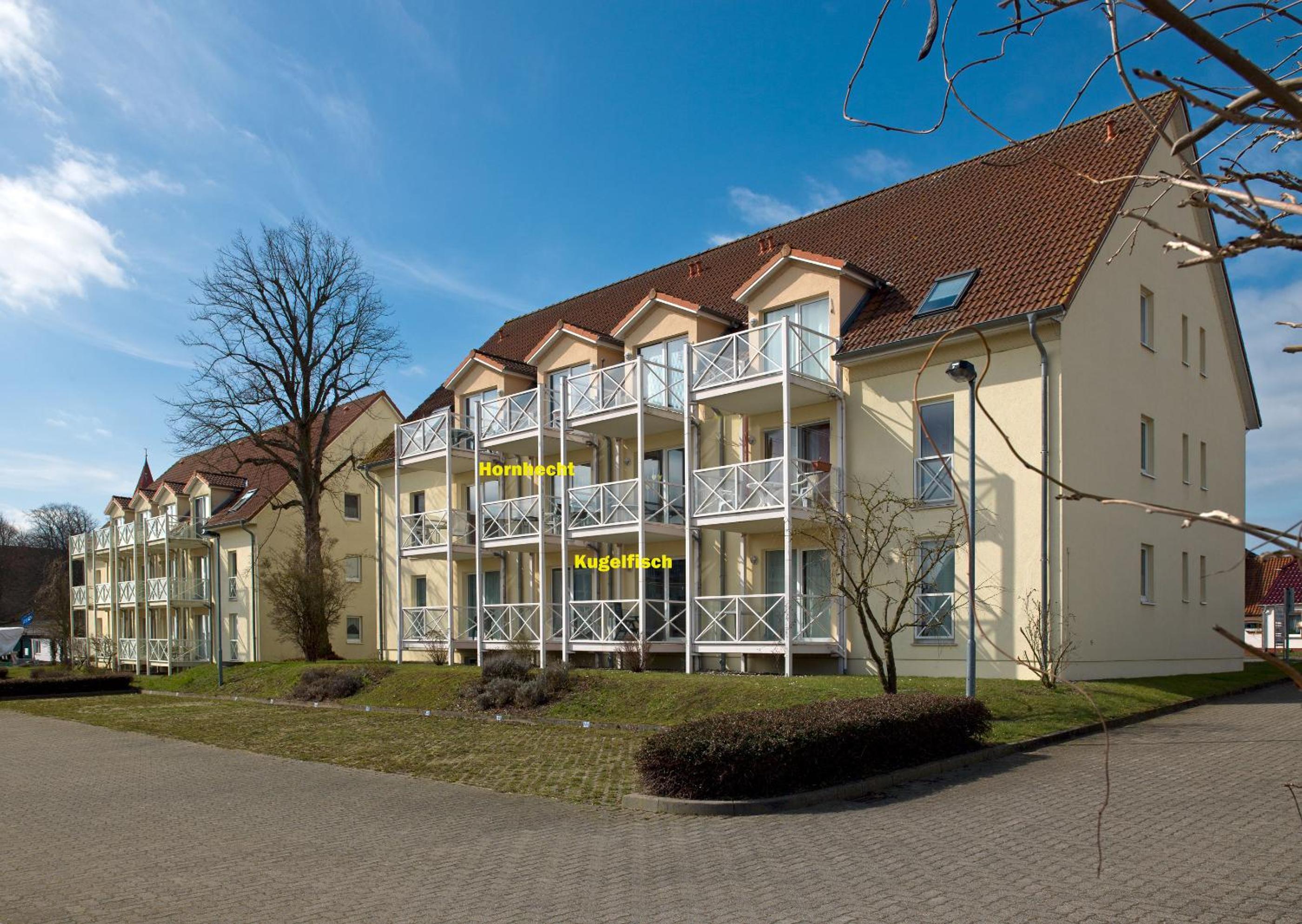 Apartment with Balcony photo 2