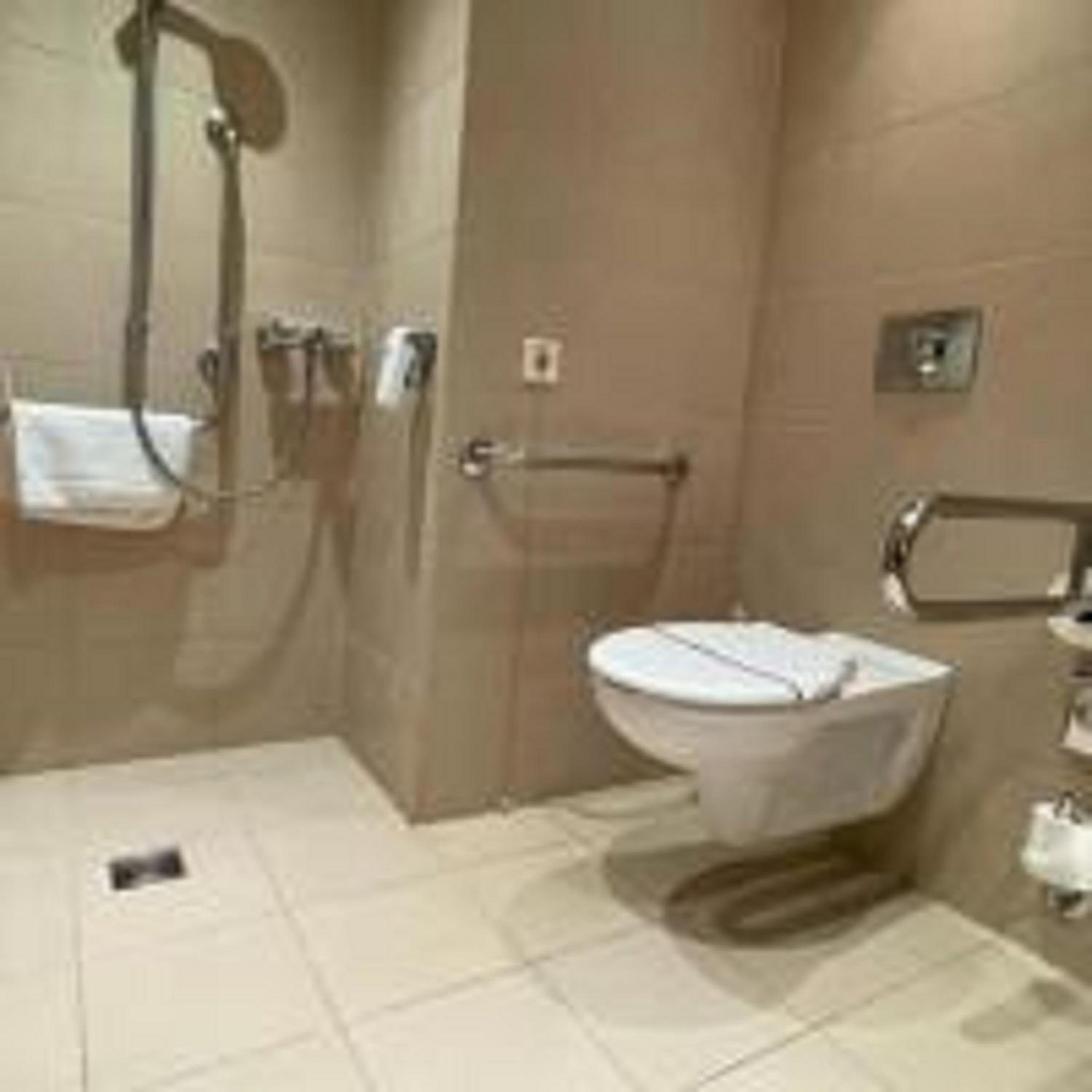 King Room with Mobility Accessible Roll-In Shower - Photo 3