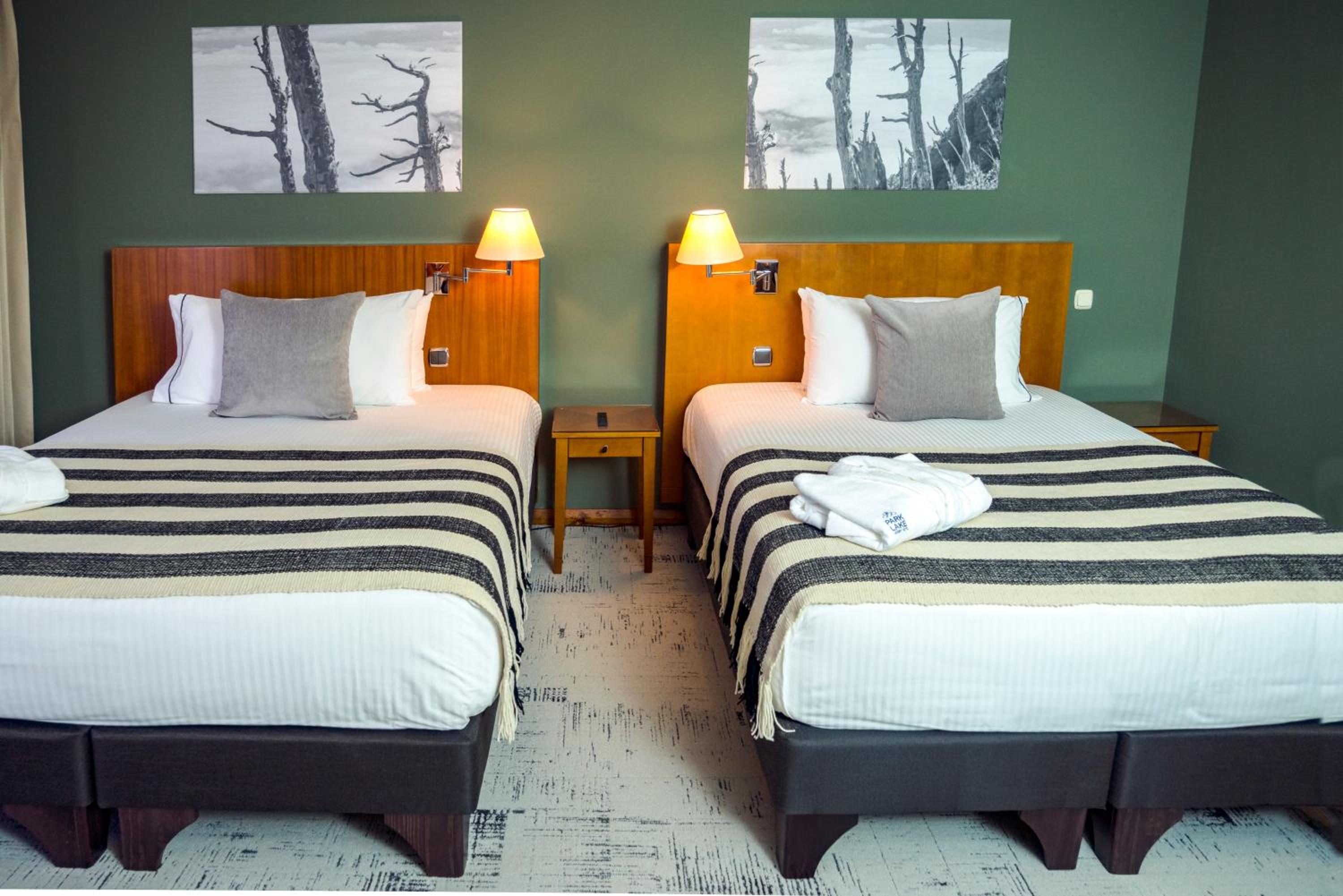 Twin Room photo 3