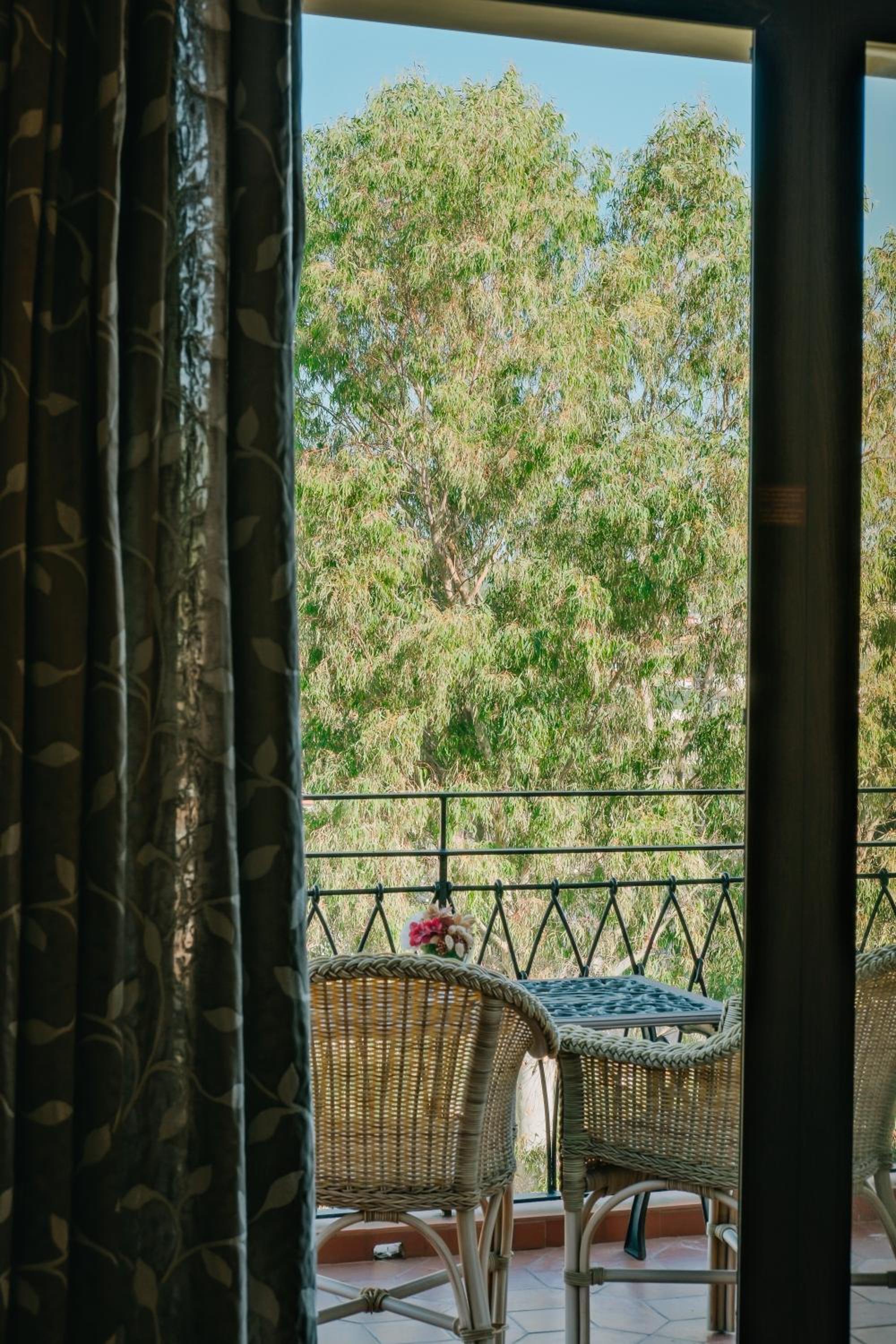 Habitación Doble Clásica con Vista al Parque y Acceso al Spa