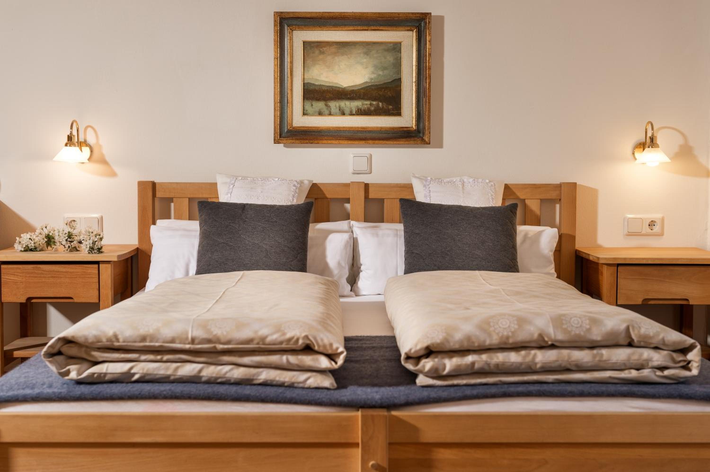 Comfort Double Room with Terrace photo 3
