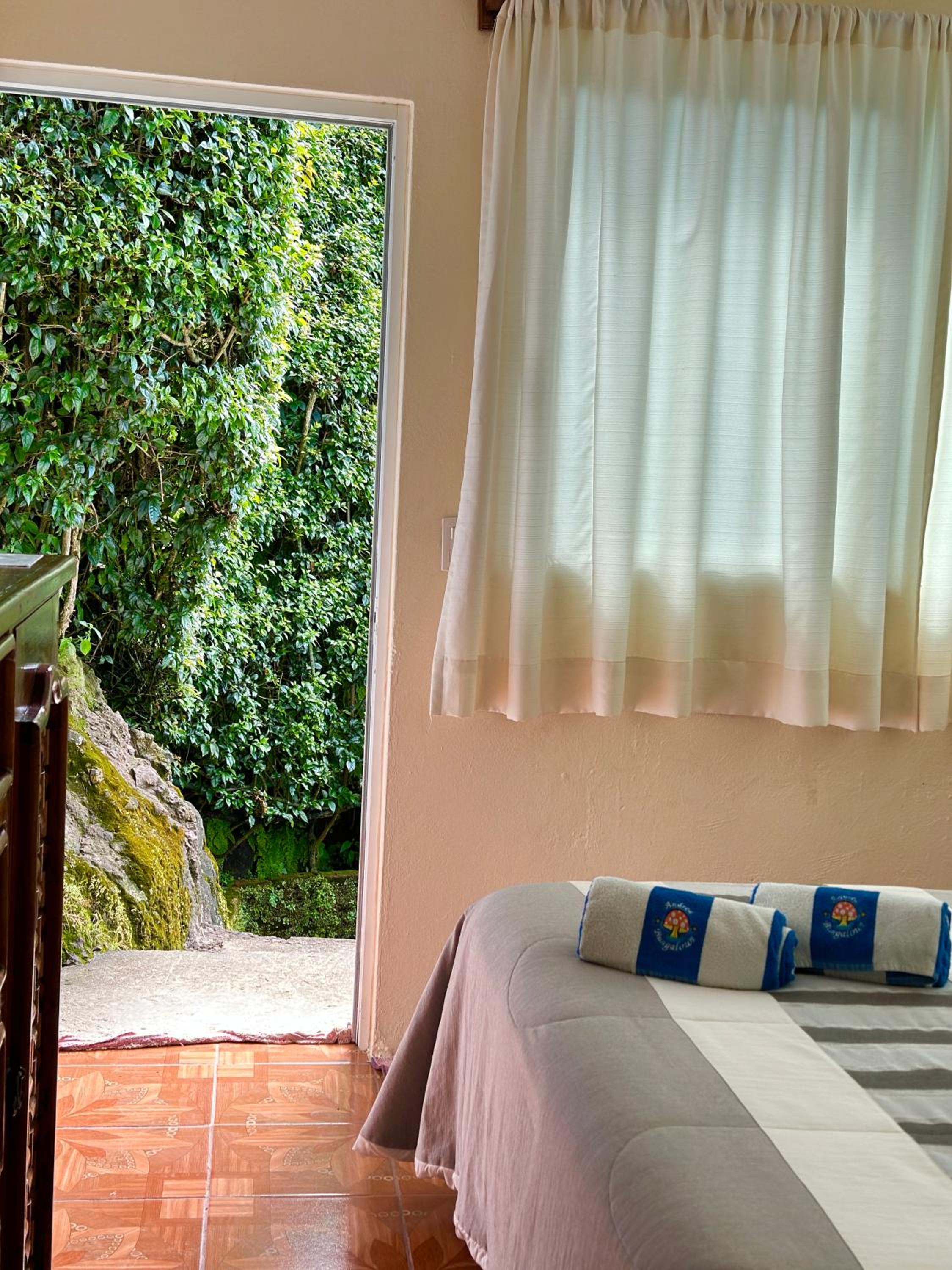Suite with Mountain View