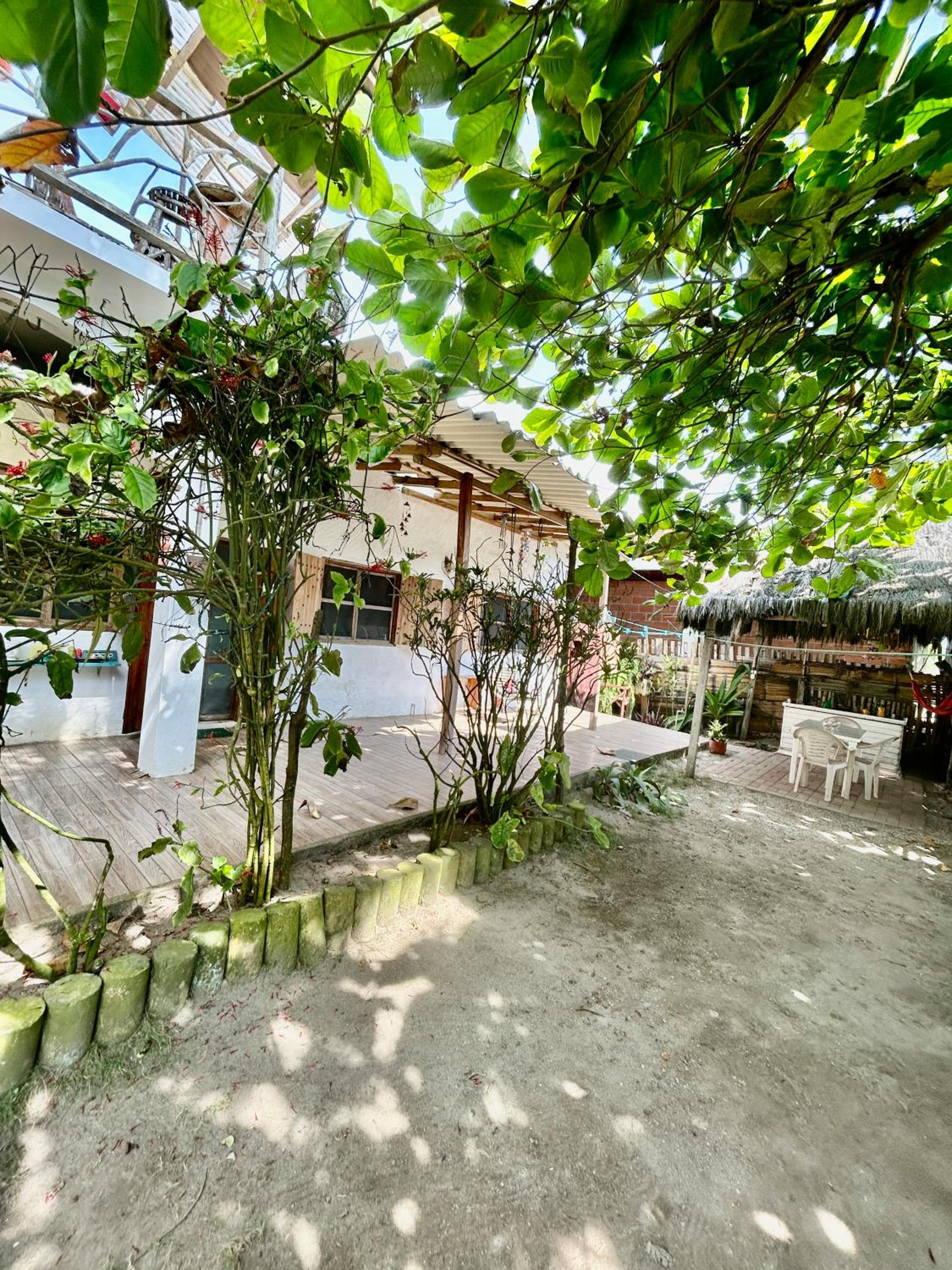 Studio with Garden View