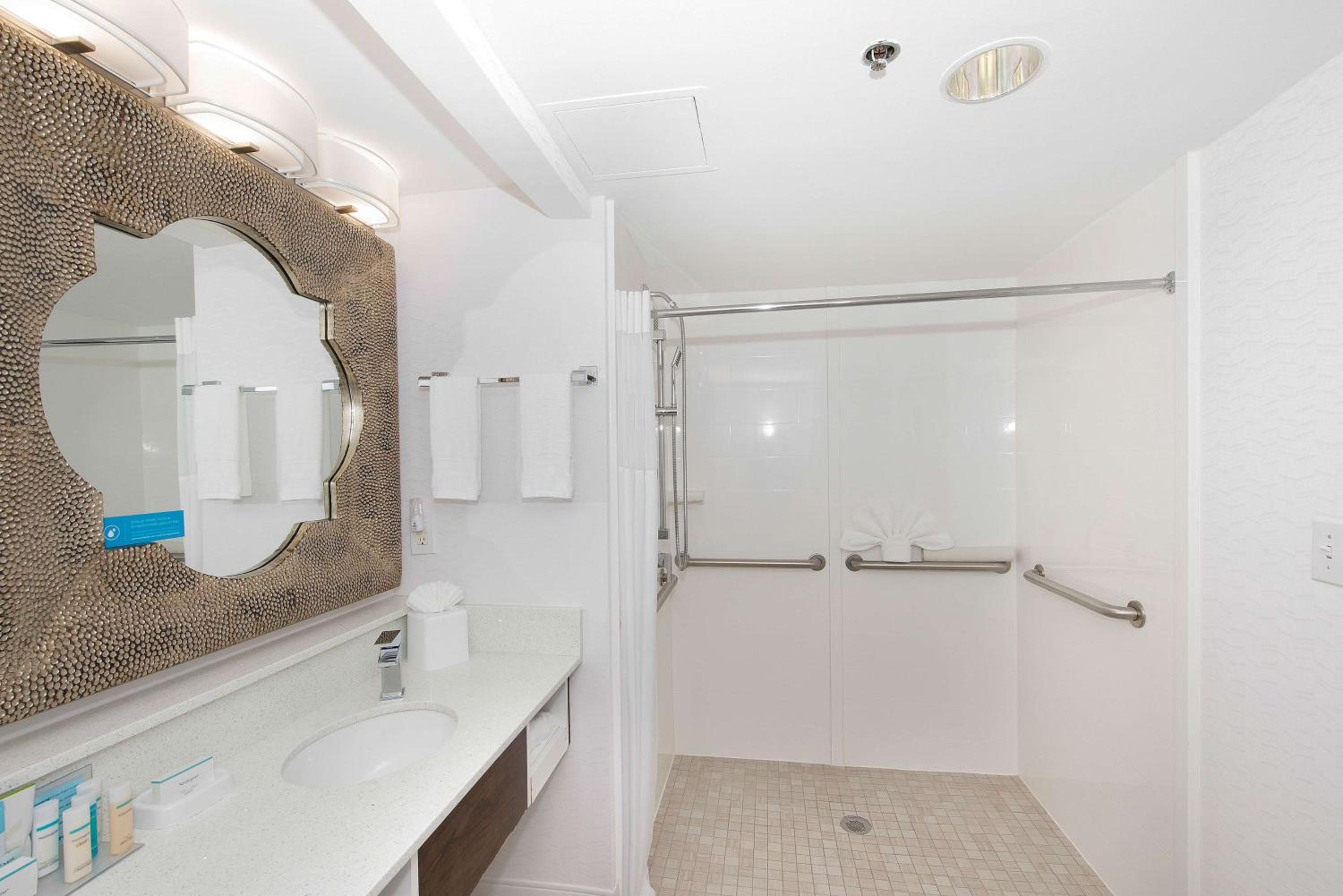 King Room with Roll-In Shower - Mobility and Hearing Access/Non-Smoking - Photo 3