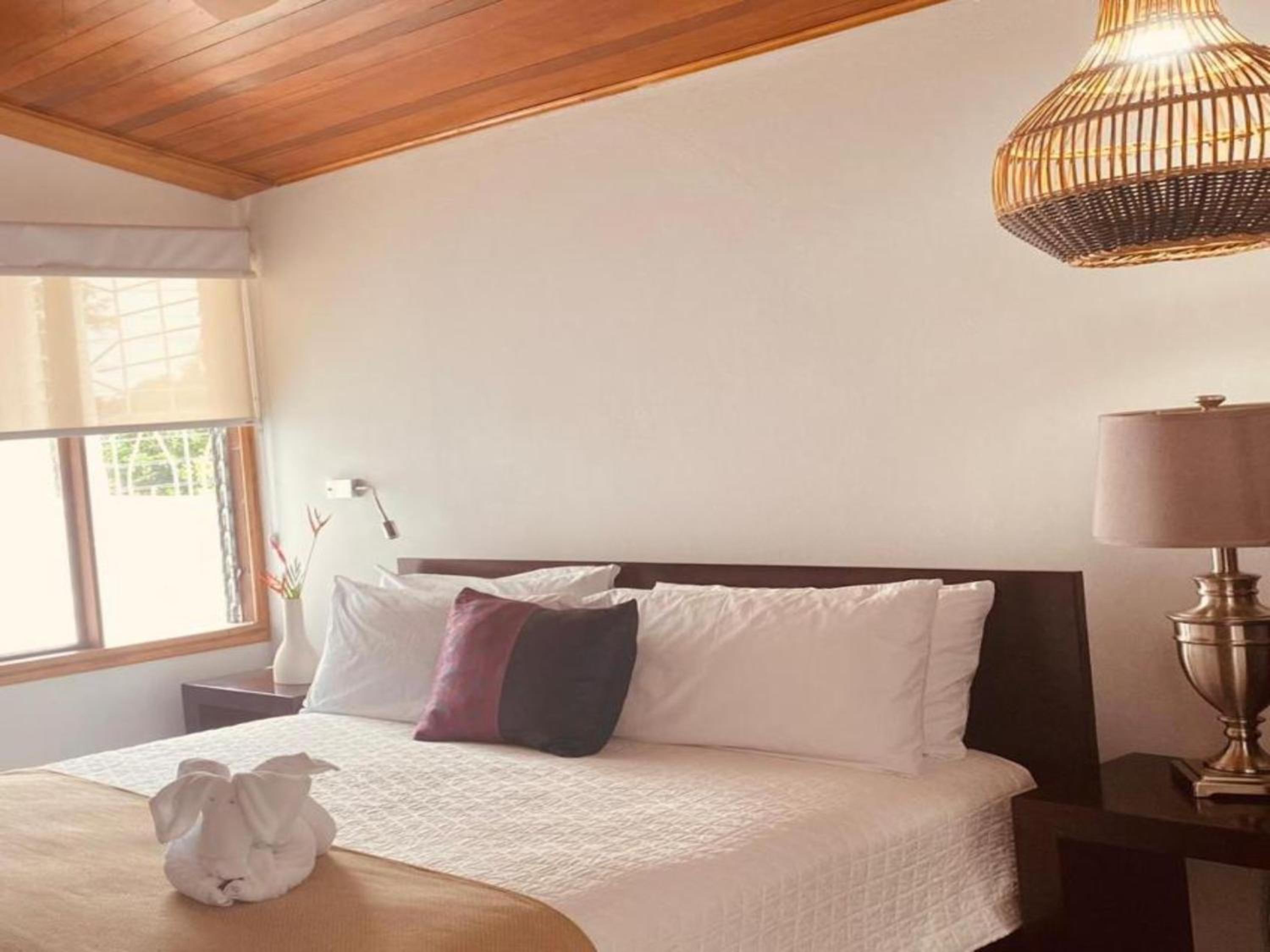 Superior Double Room photo 3