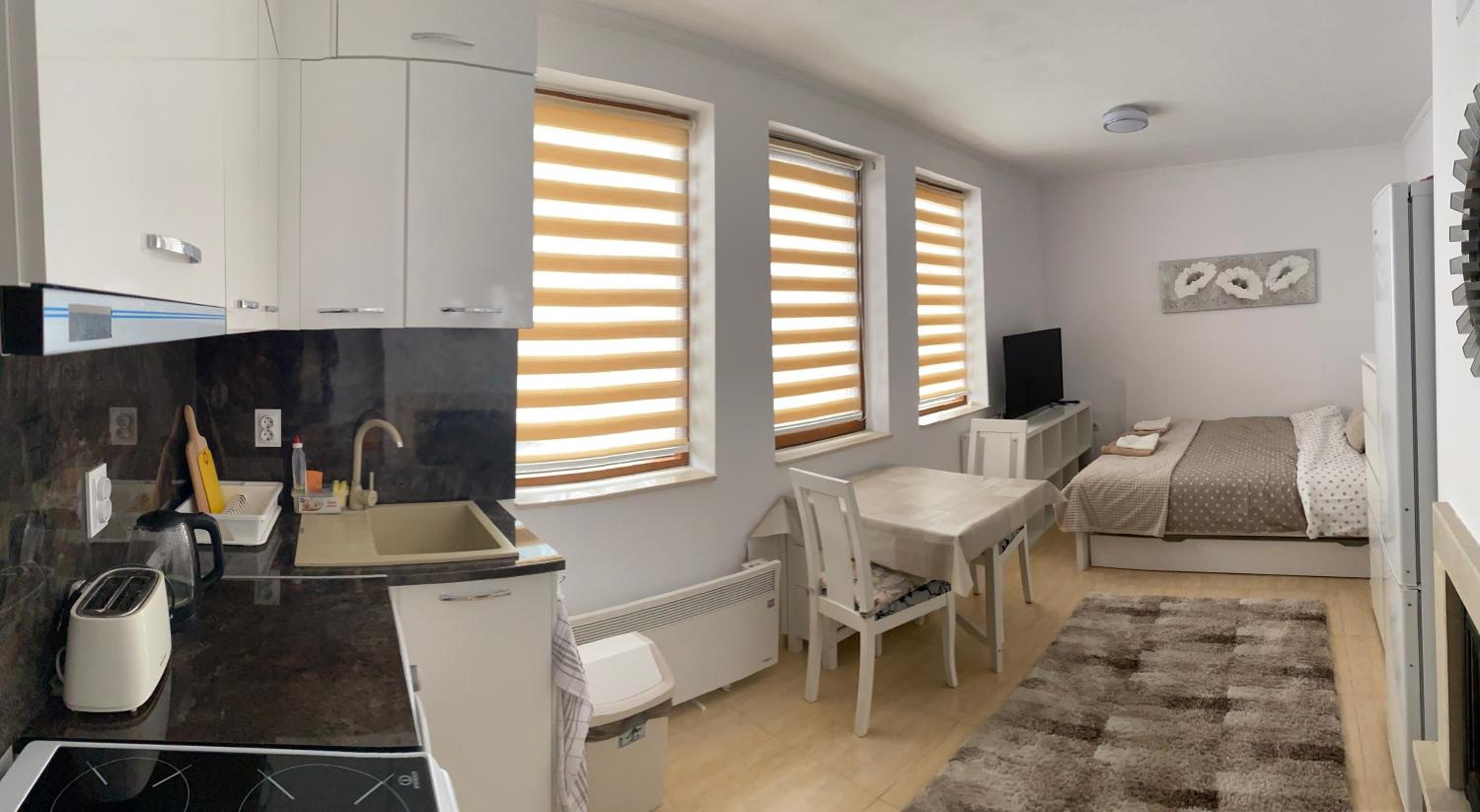 Studio Apartment photo 3