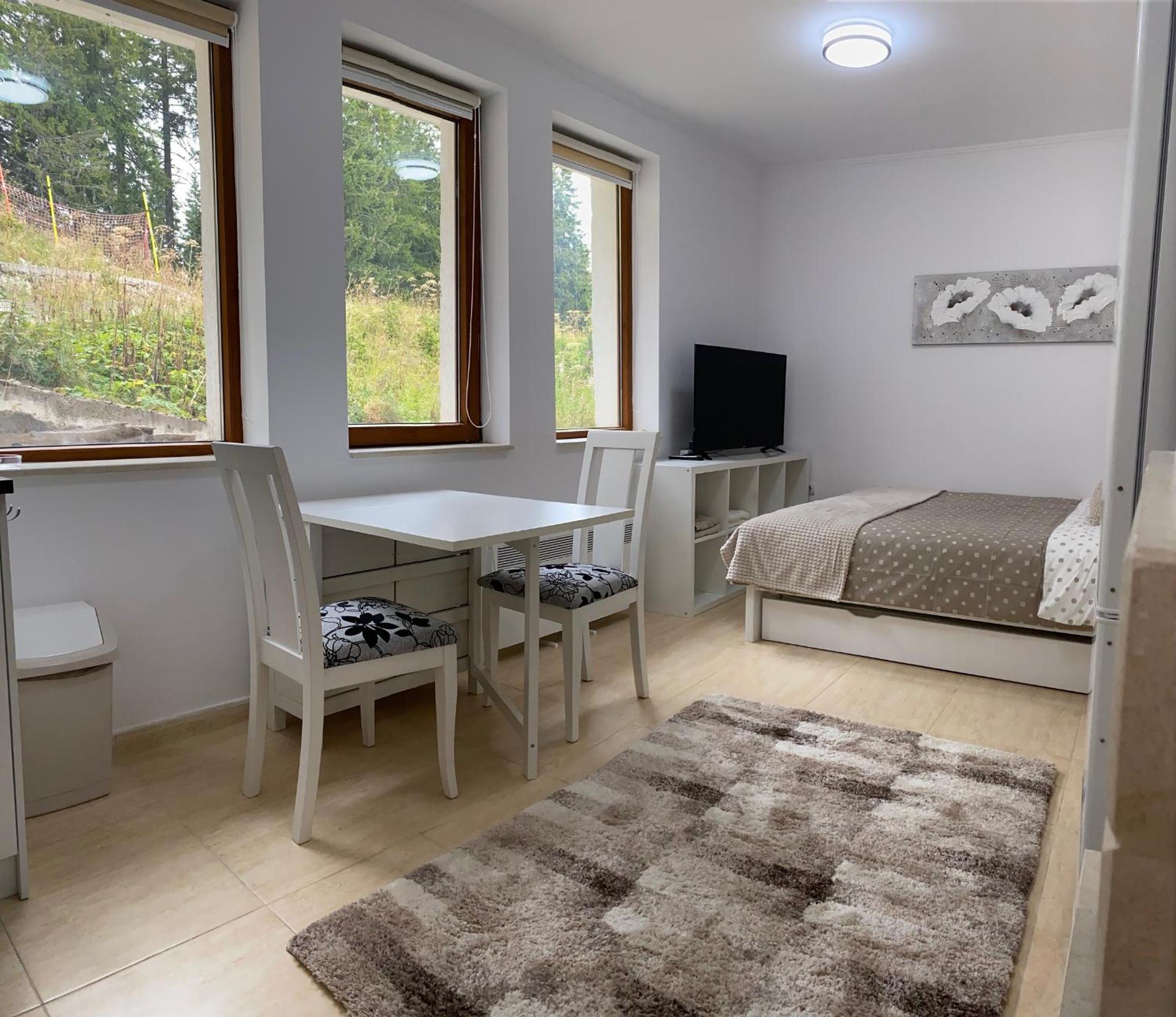 Studio Apartment photo 1