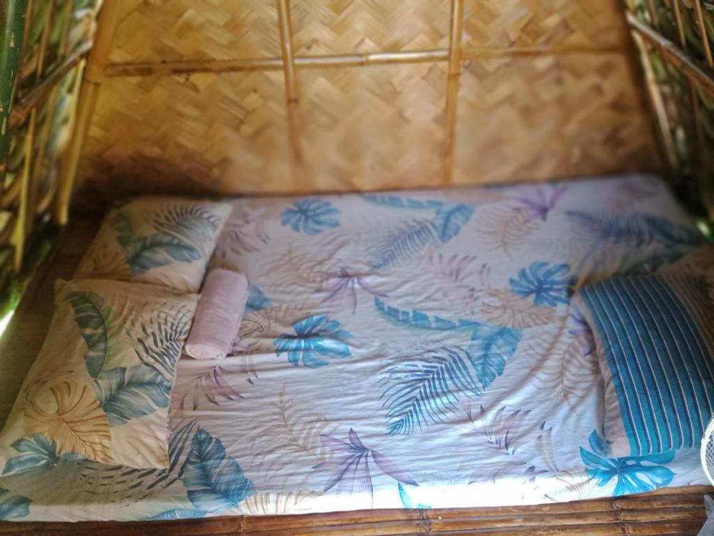 Tent photo 3