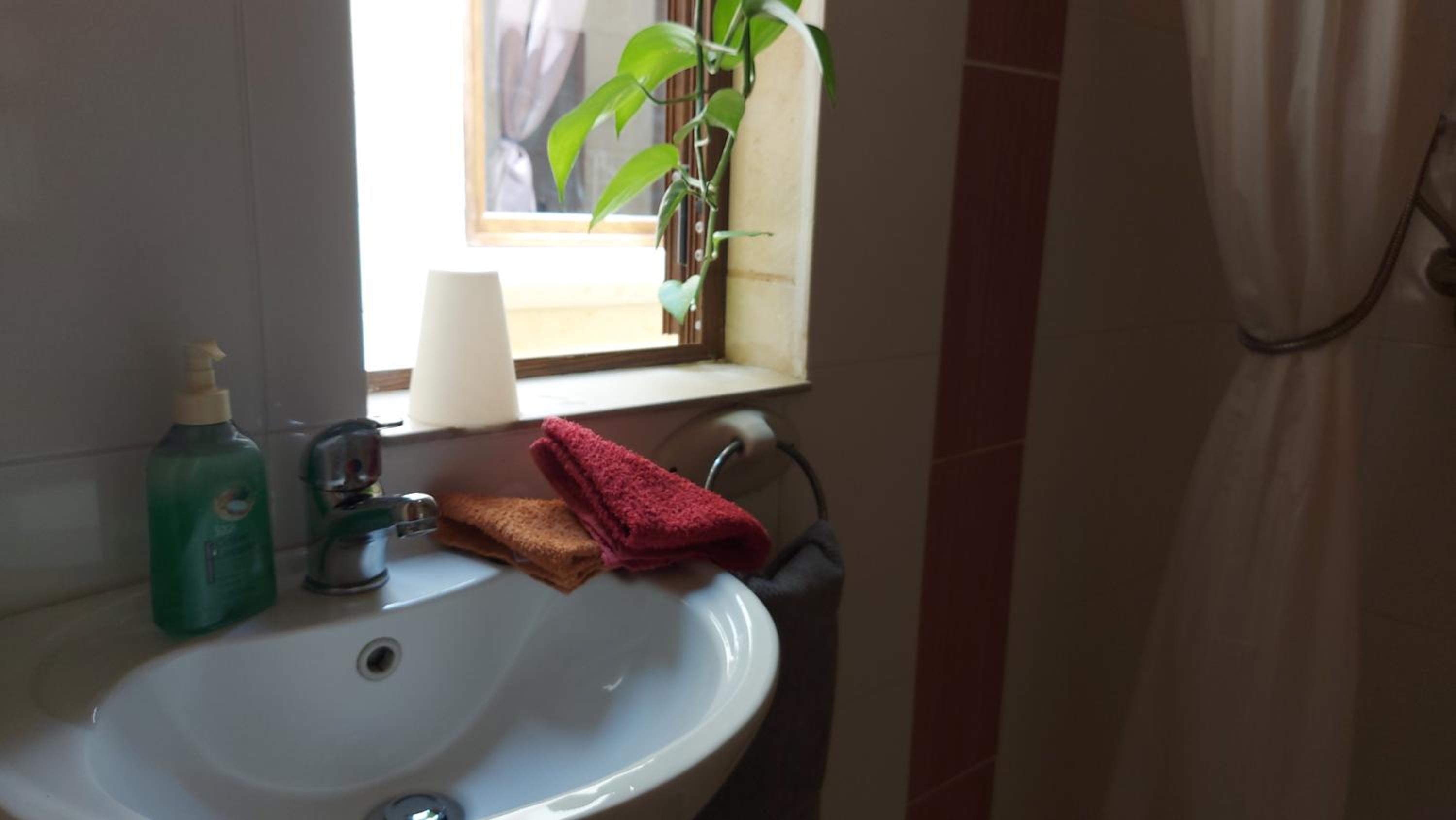 Two-Bedroom Apartment with Garden View photo 3