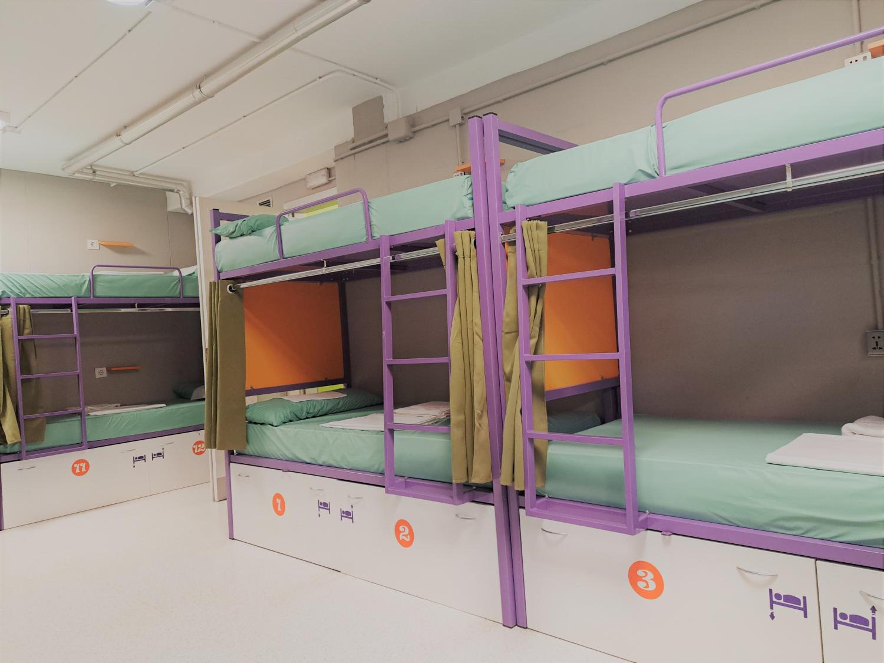 Bunk Bed in Mixed Dormitory Room photo 3