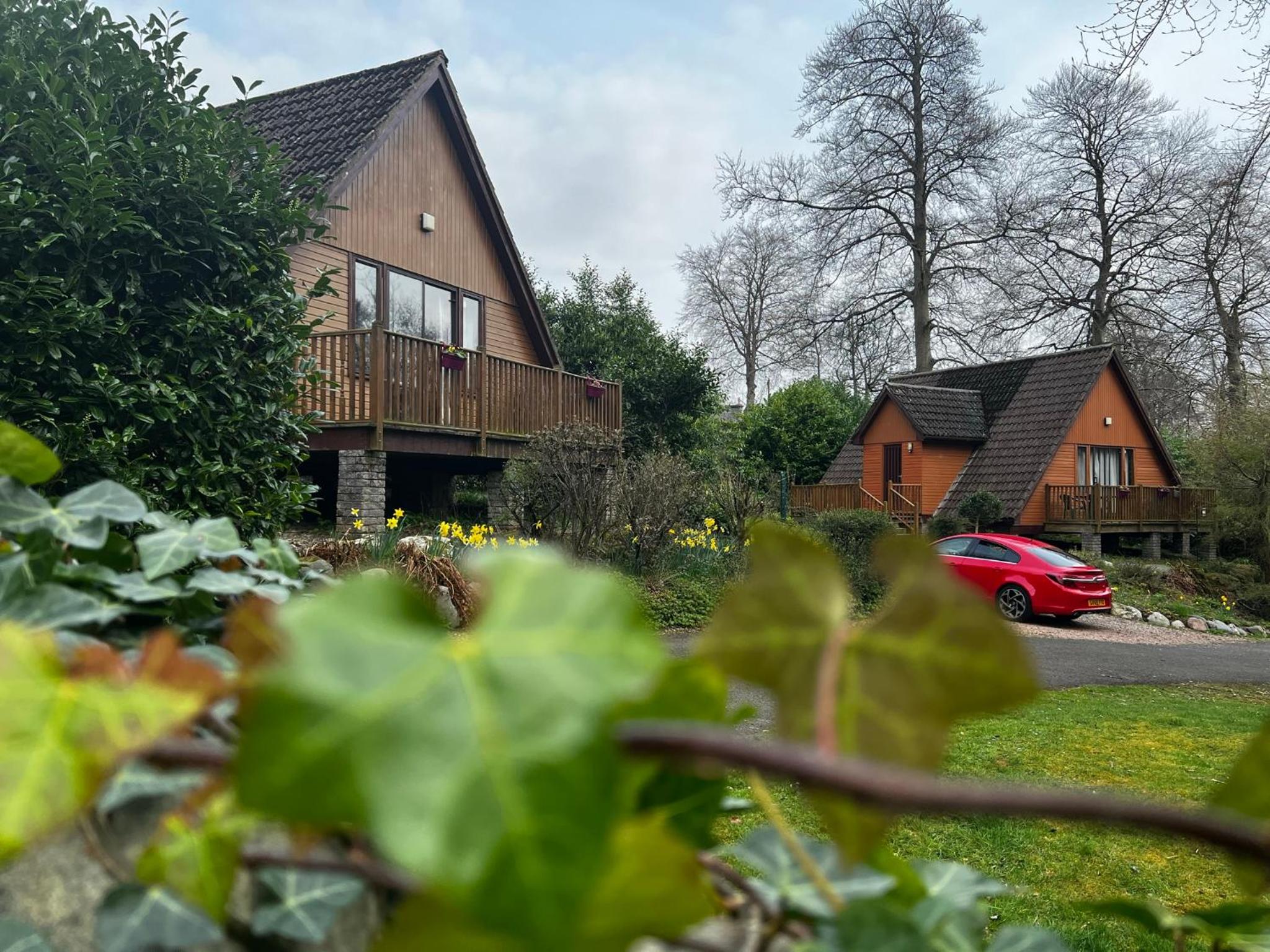 Superior Chalet with Garden View photo 3