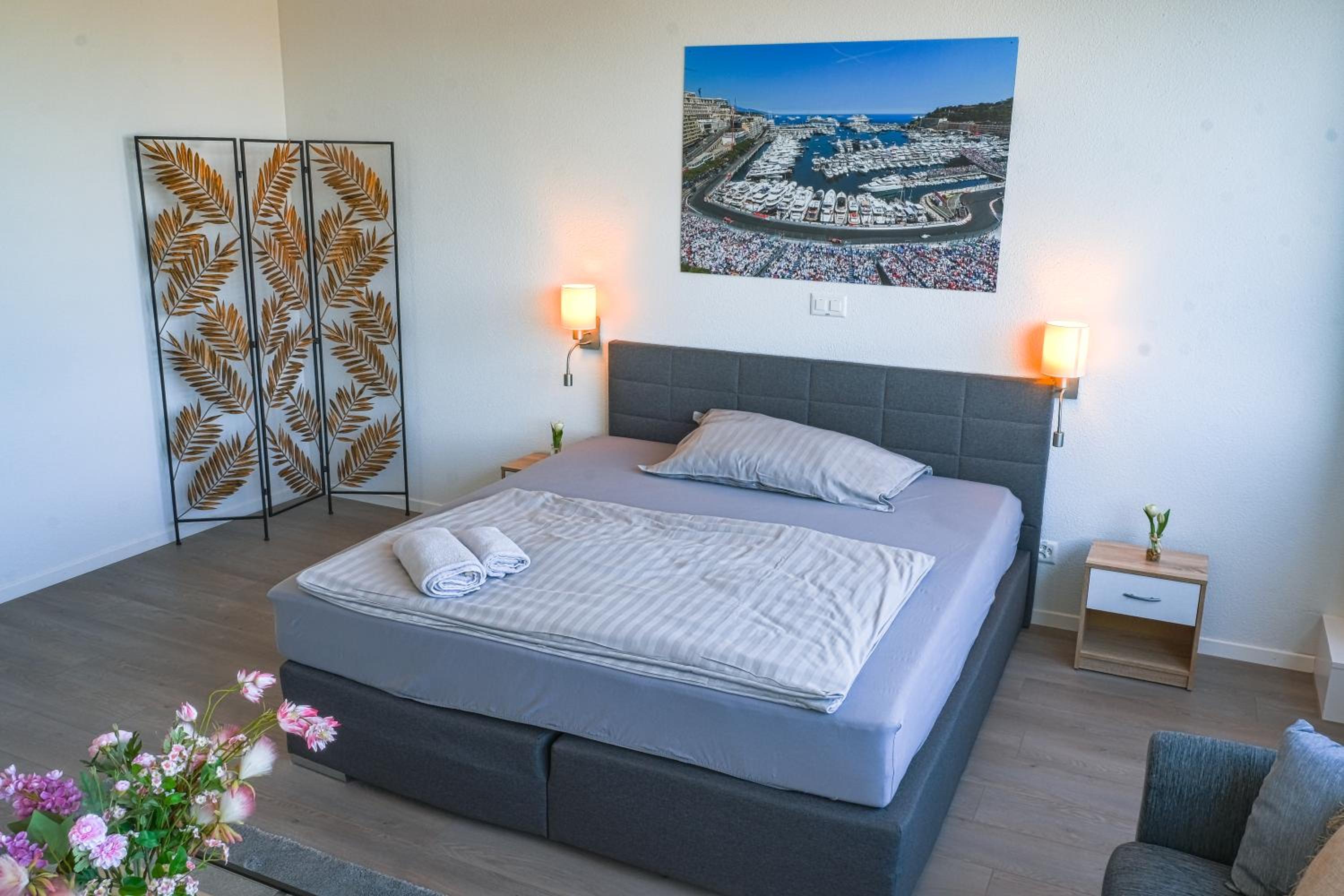 Superior Apartment with Private Bathroom and Kitchenette photo 2