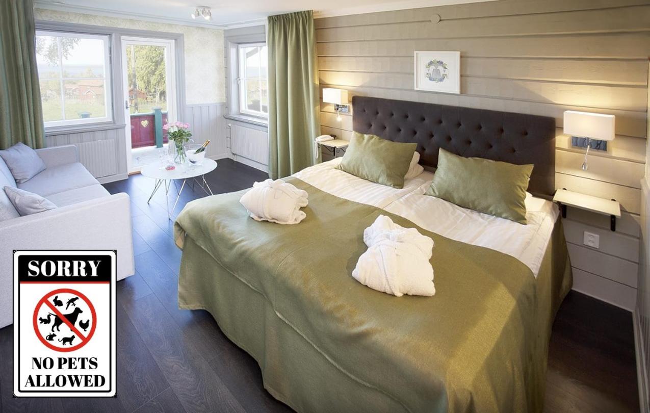Junior Suite photo 1