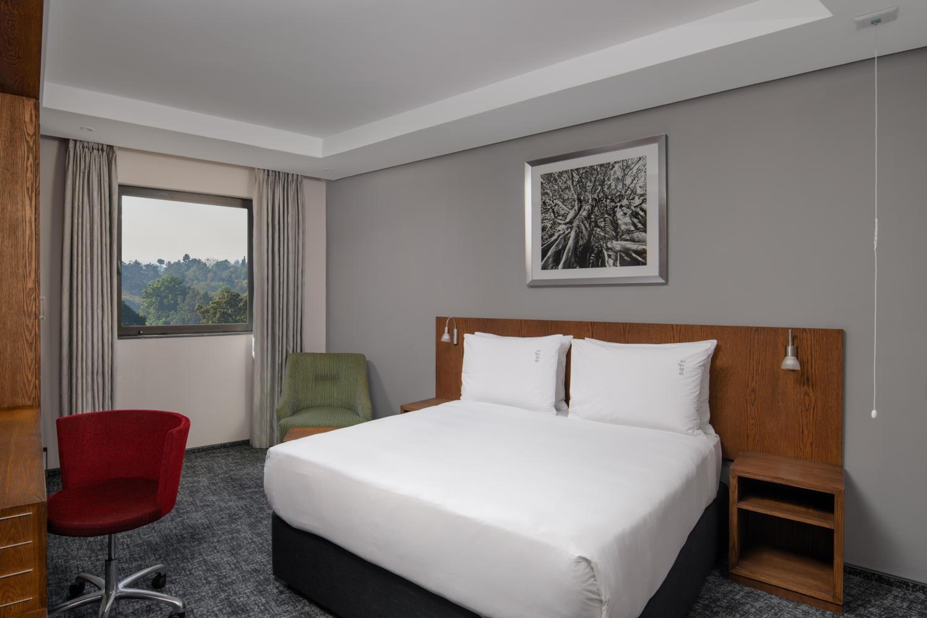 Standard Queen Room - Disability Access