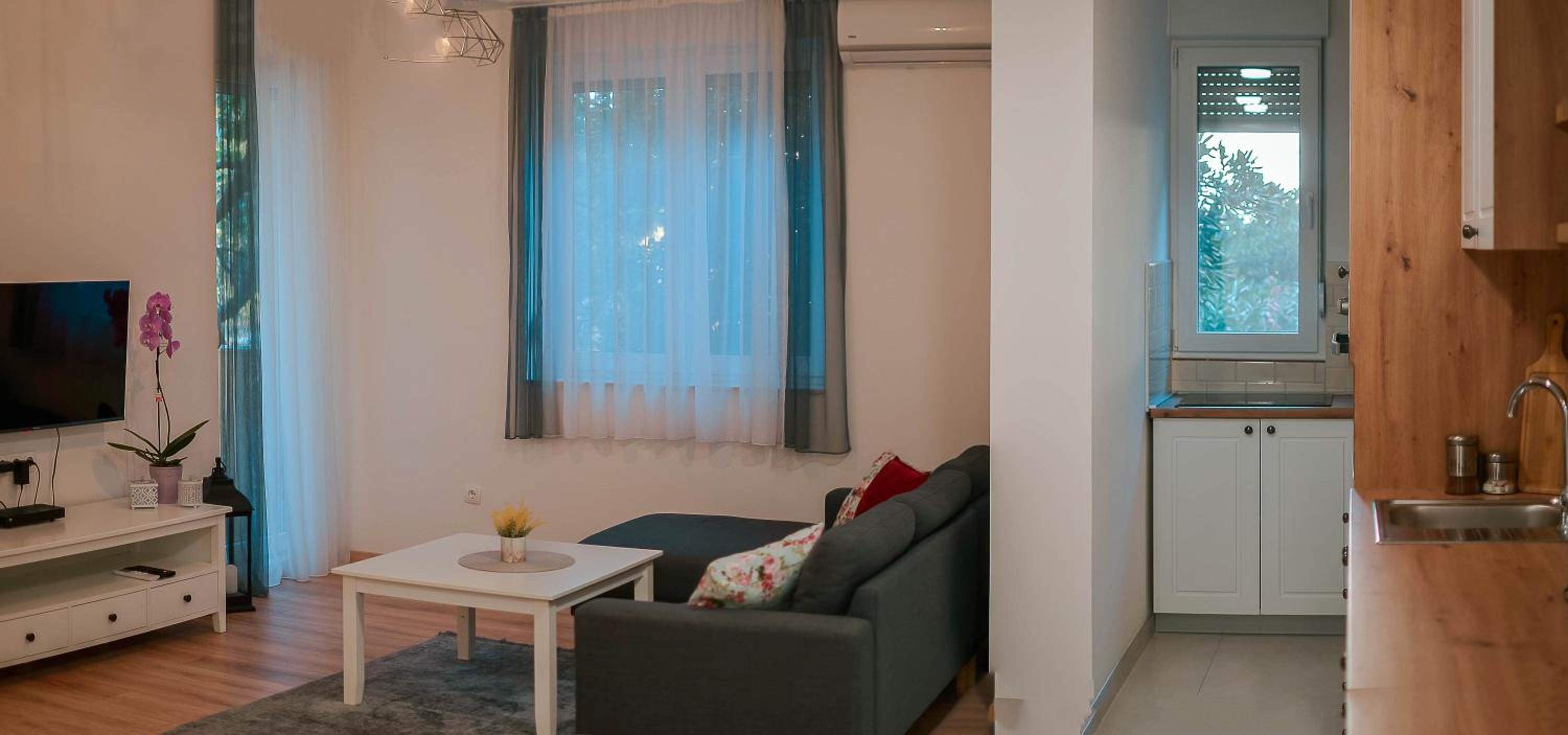 One-Bedroom Apartment photo 3