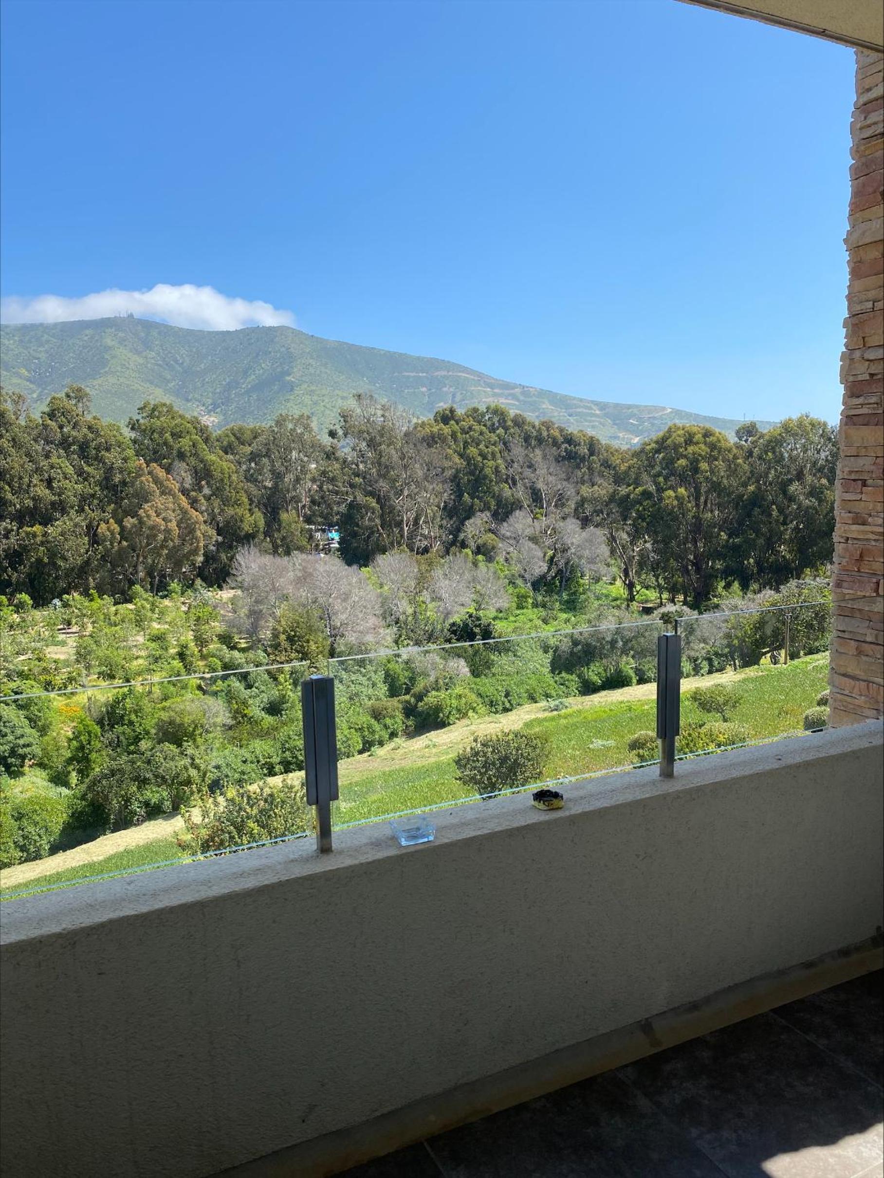 Apartment With Terrace photo 2