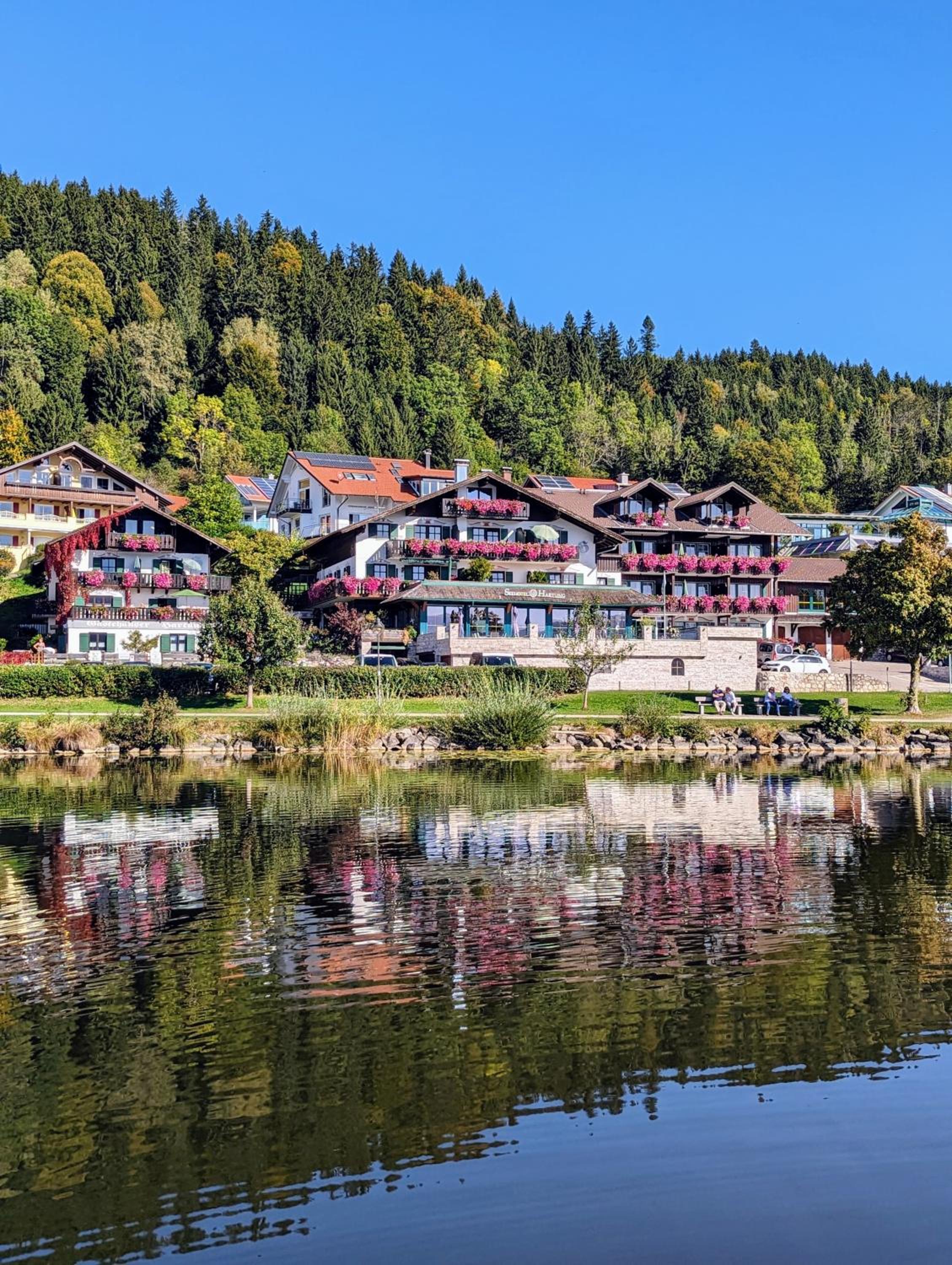 Apartment Alpina with Lake View photo 3