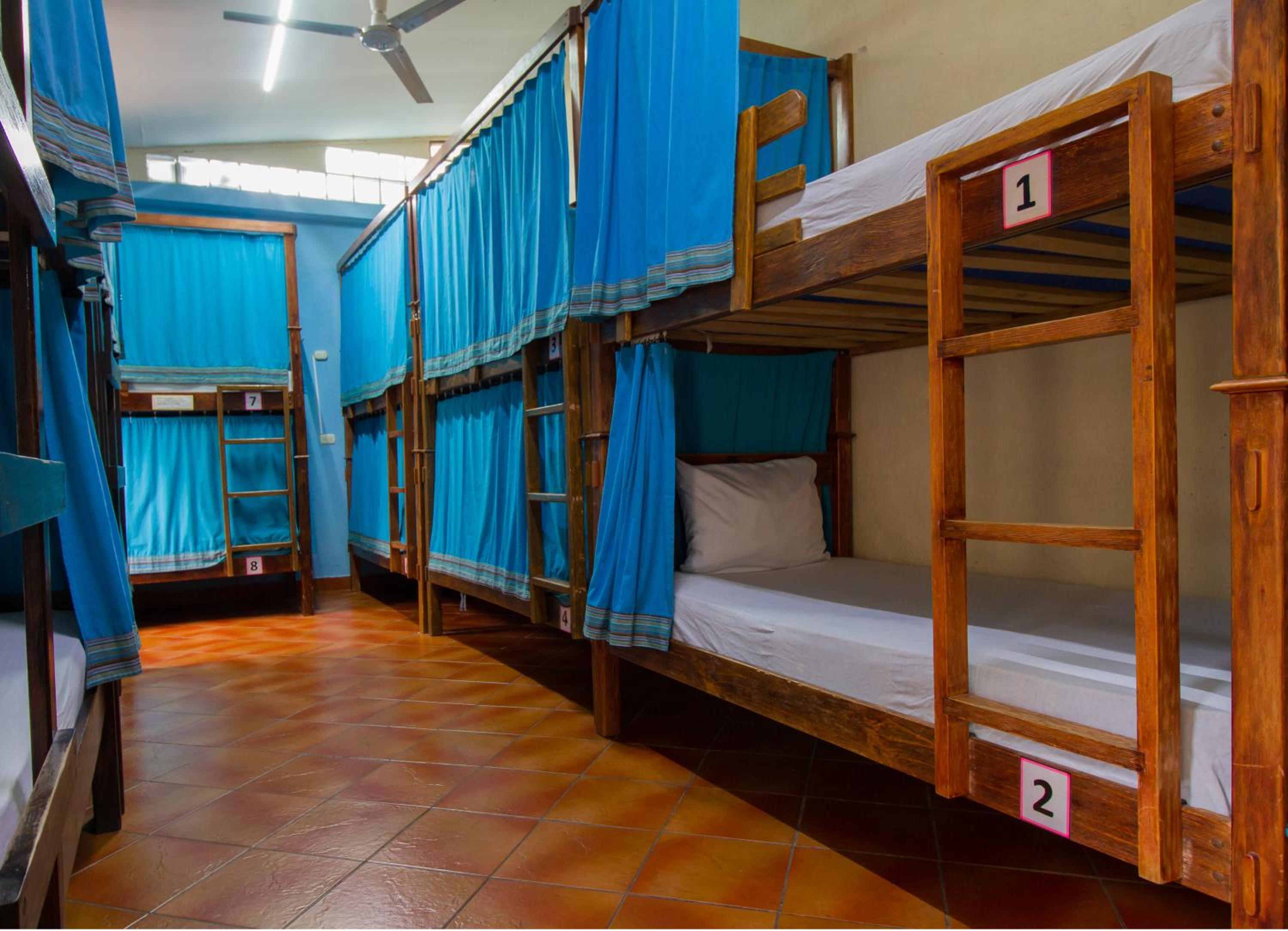 Single Bed in Dormitory Room photo 2