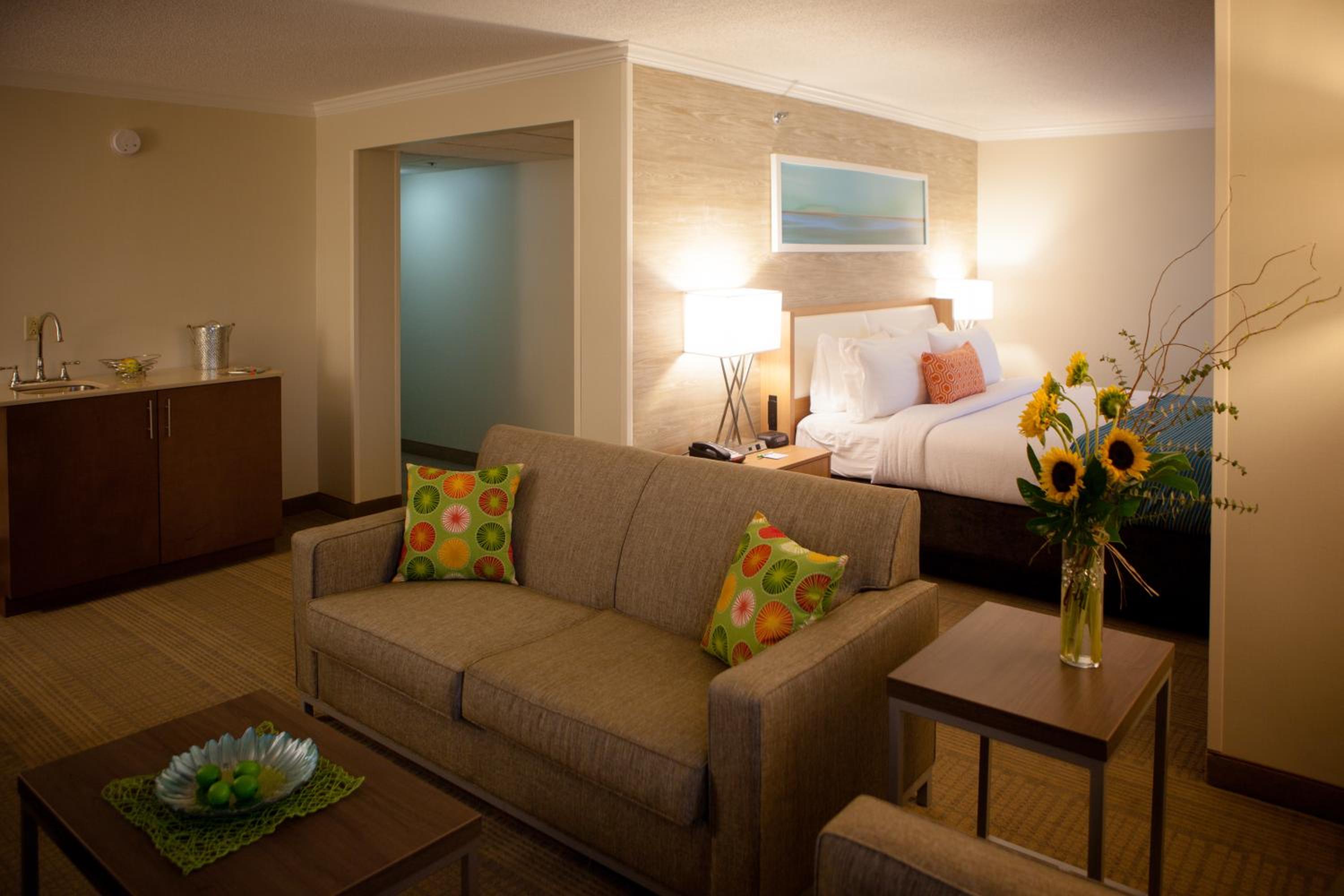 One-Bedroom Suite photo 1