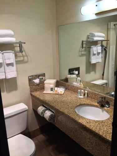 King Room - Non-Smoking - Photo 4