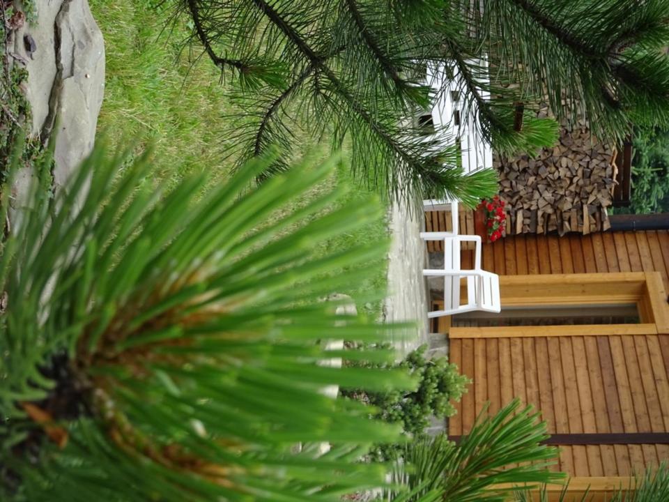 Apartment with Terrace photo 2