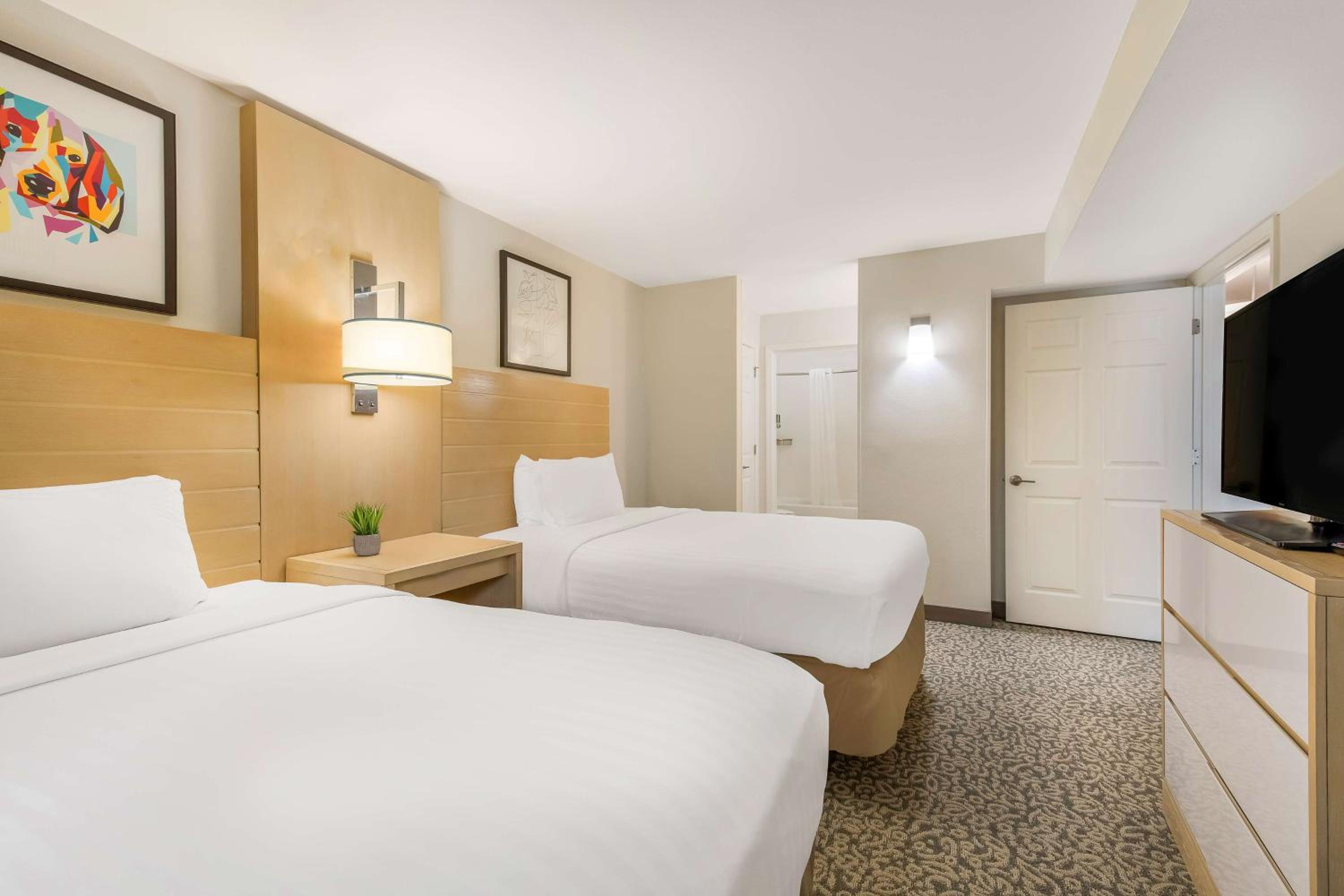 One-Bedroom King Suite