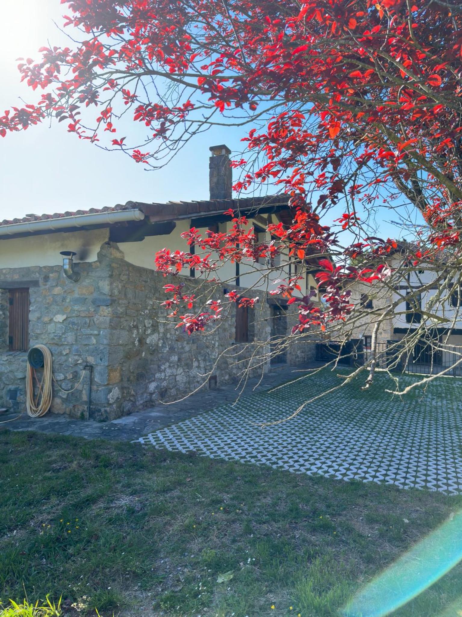 Villa - Photo 7
