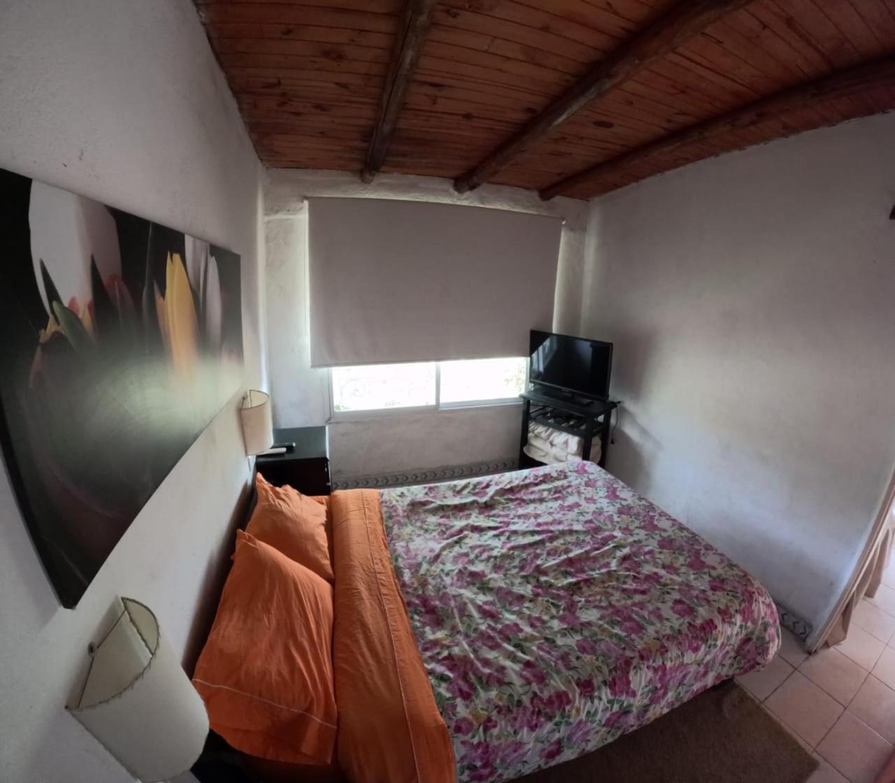 One-Bedroom House photo 1
