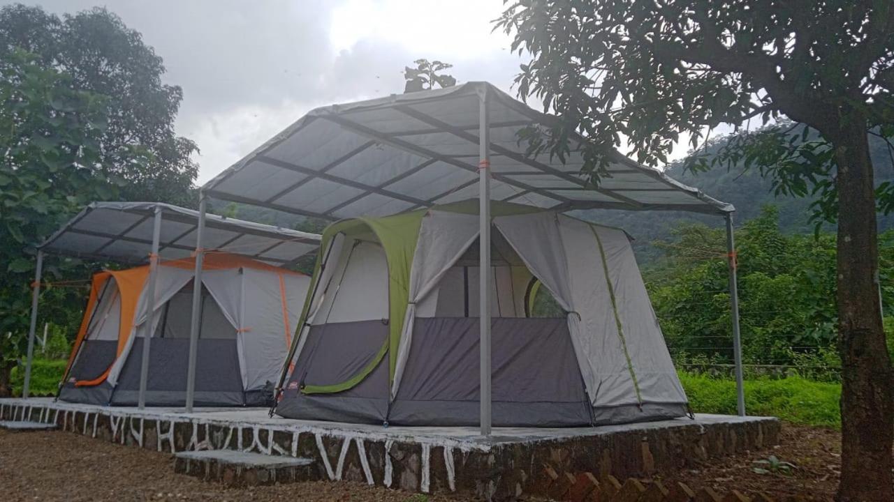 Mountain View Luxury Tent 4 people photo 3