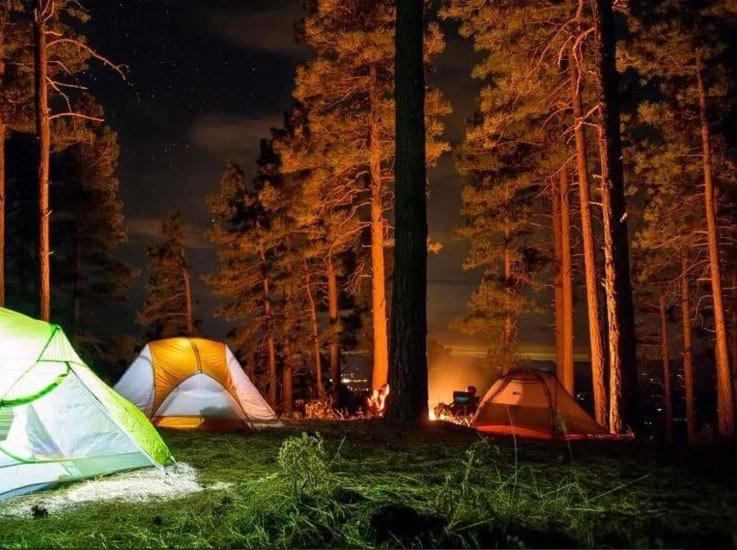 Mountain View Standard Tent 2 people photo 3