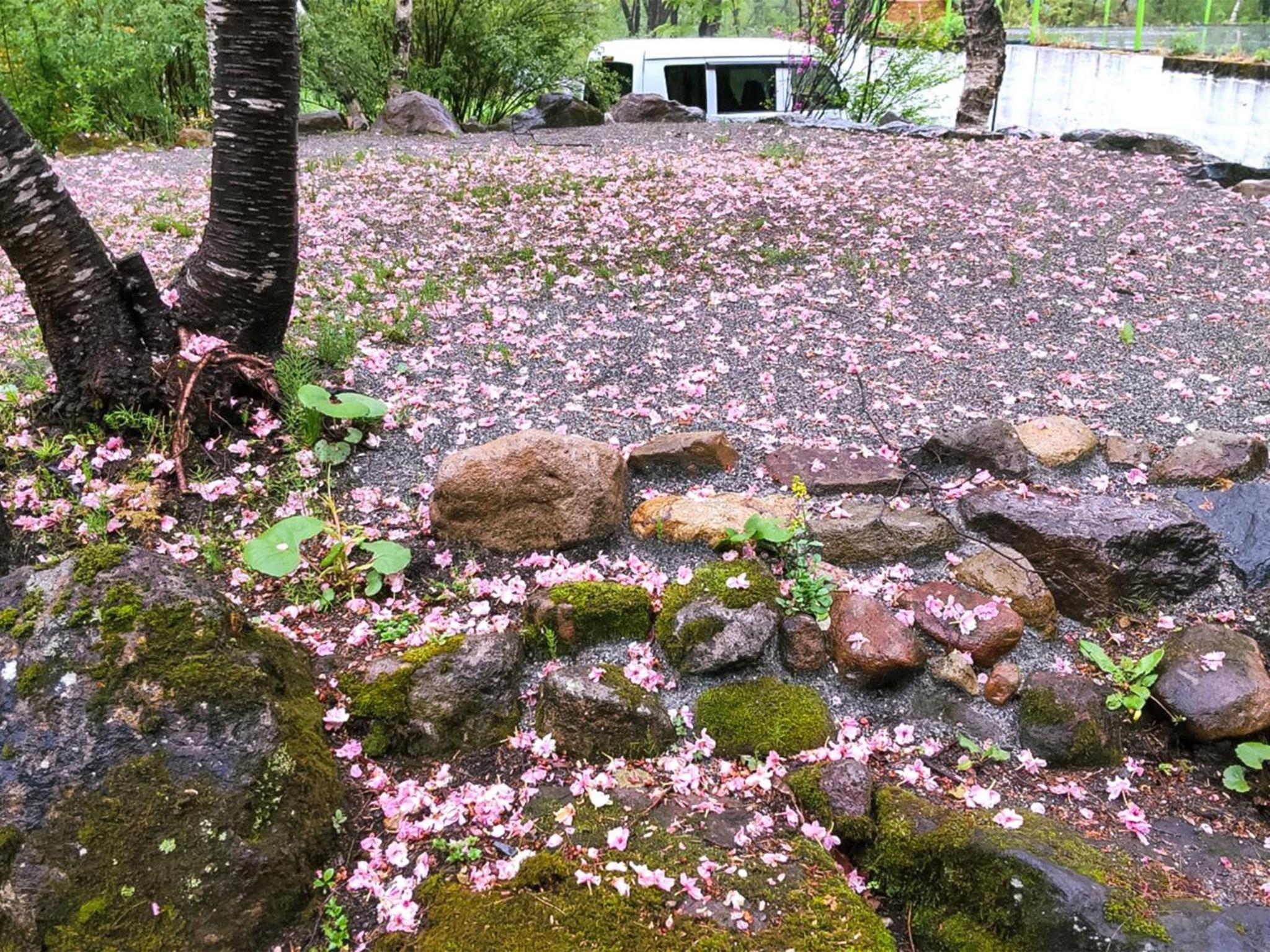 Vacation Home - Photo 21