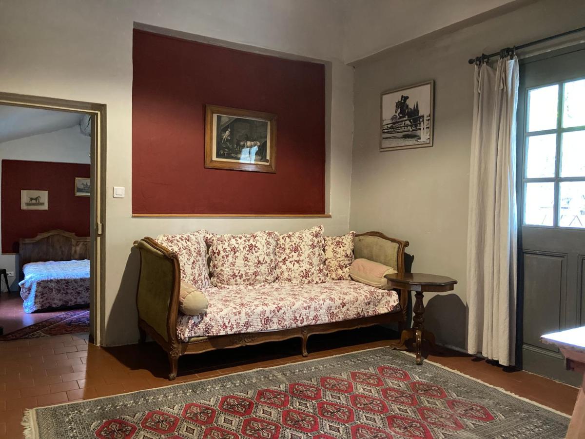 Suite with Private Terrace photo 1