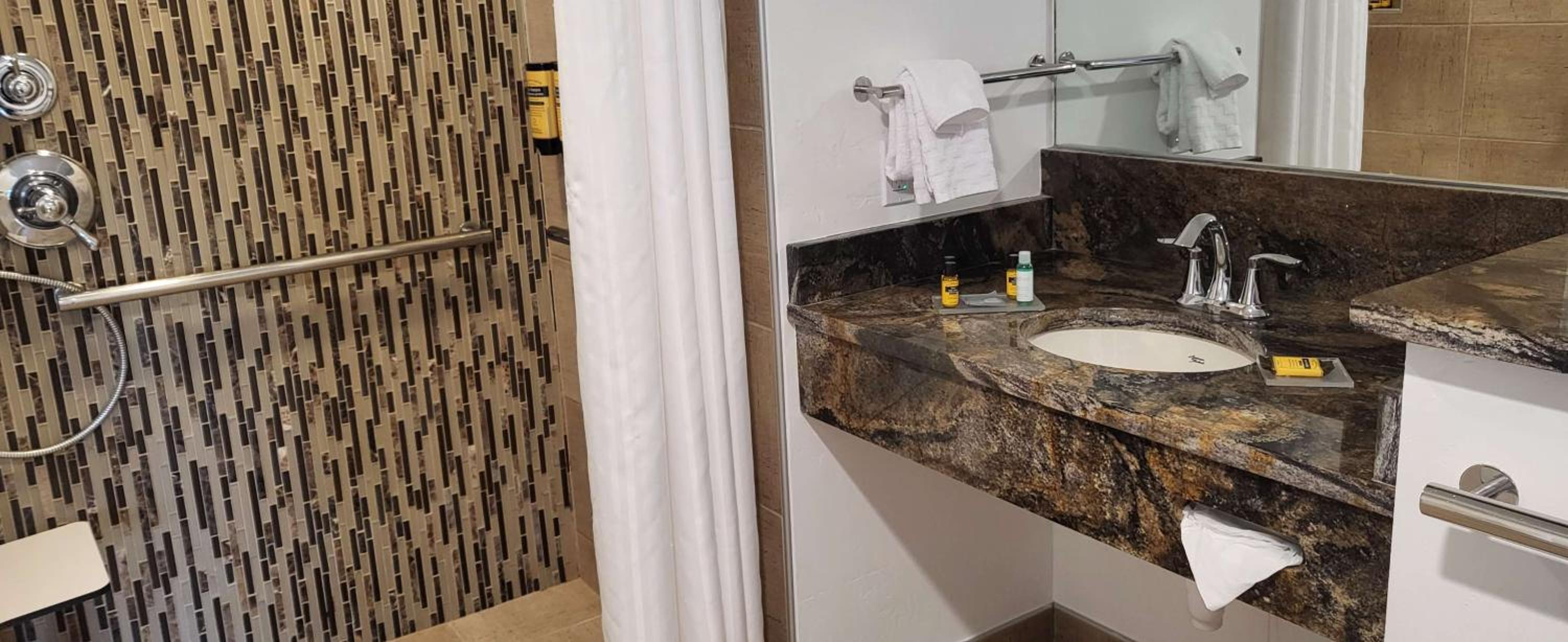King Room with Roll-In Shower - Mobility Access - Photo 5