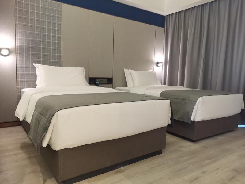 Twin Room photo 3