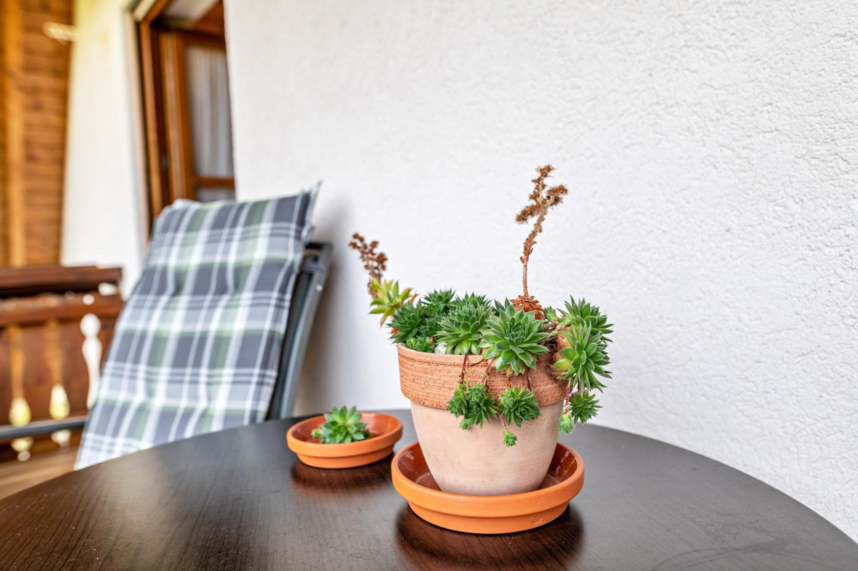 Superior One-Bedroom Apartment with Balcony photo 3