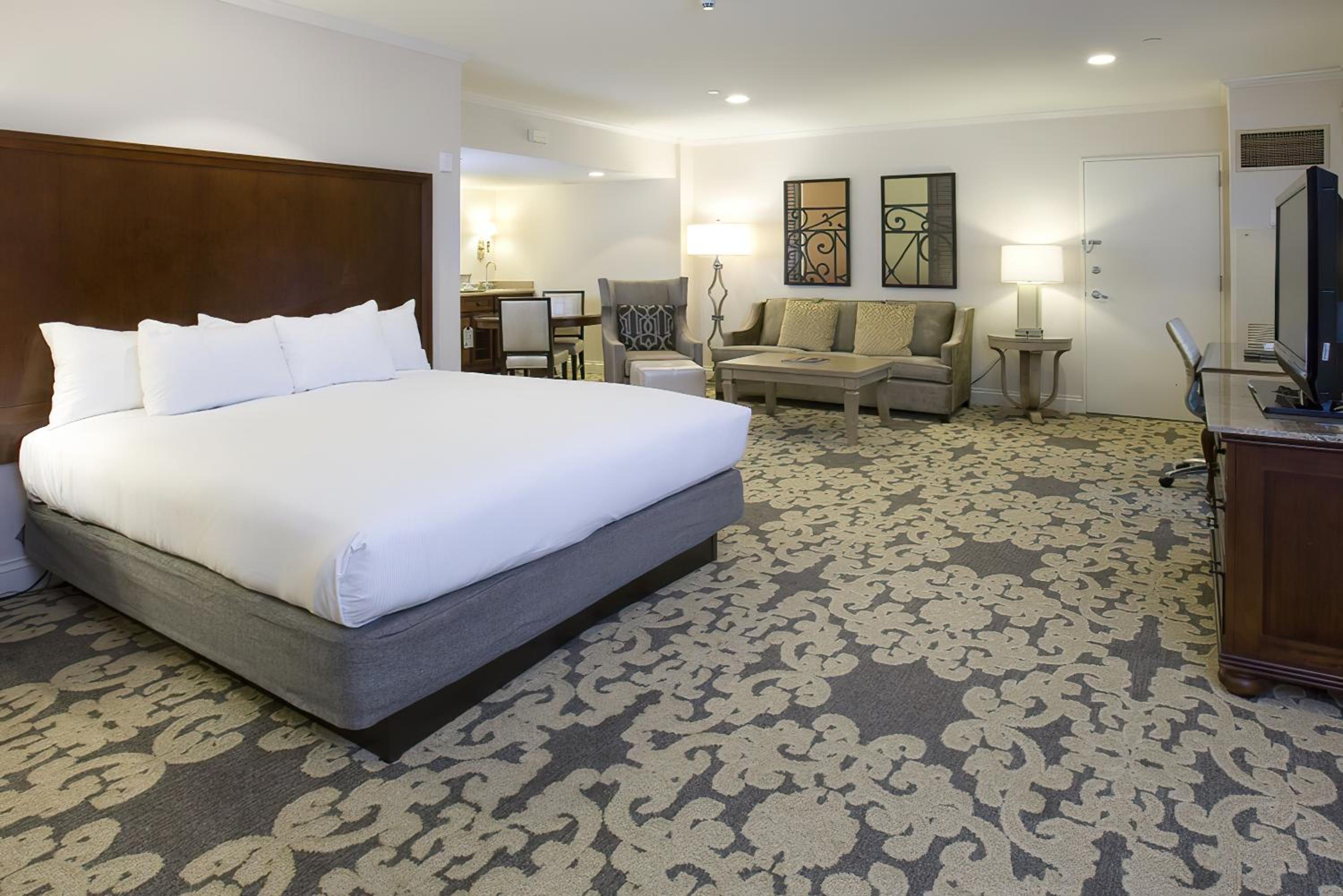 Premium Junior King Suite - Photo 9