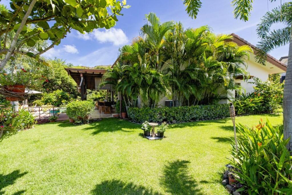 Deluxe Villa photo 2