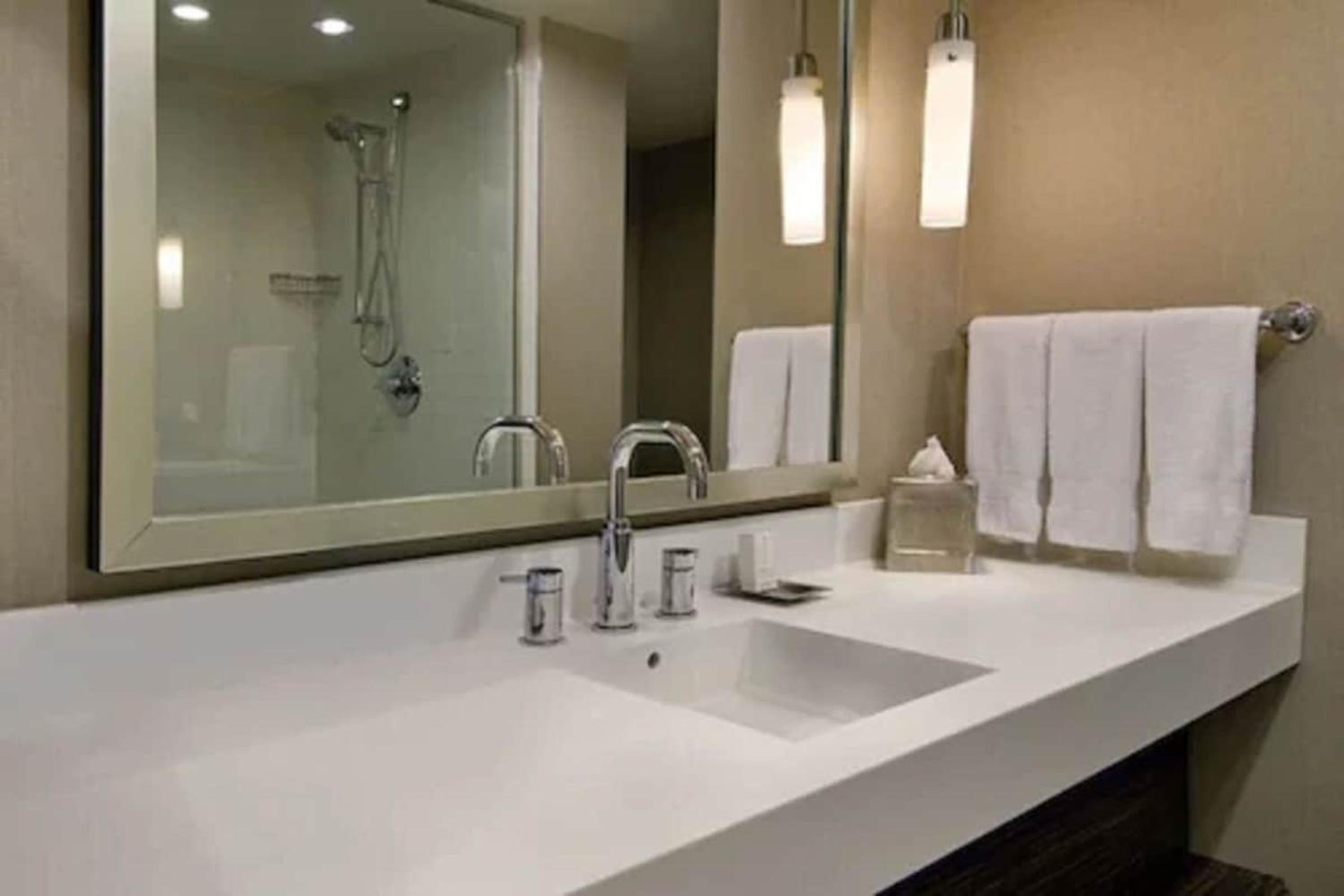 Deluxe King Suite - Photo 4