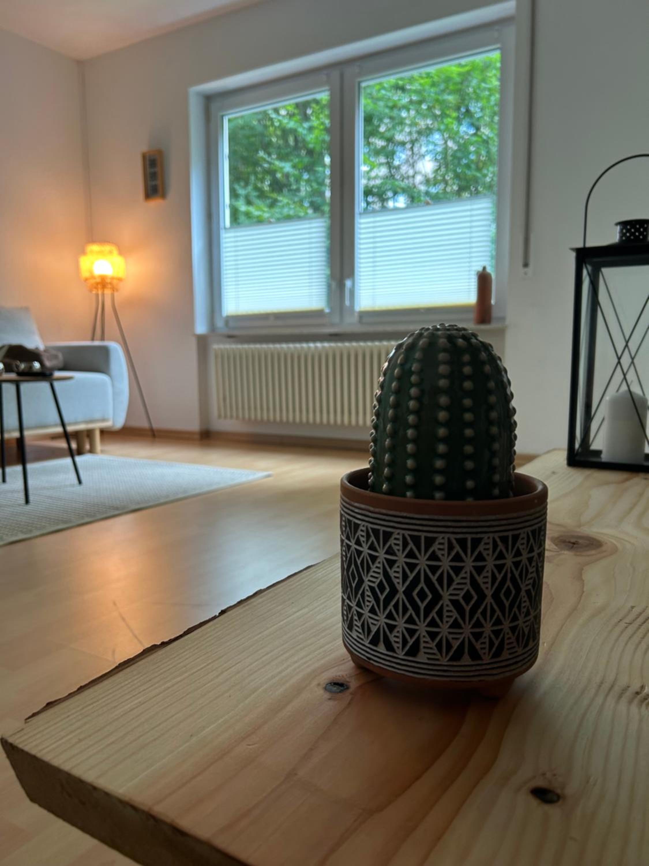 Apartment with Terrace photo 2