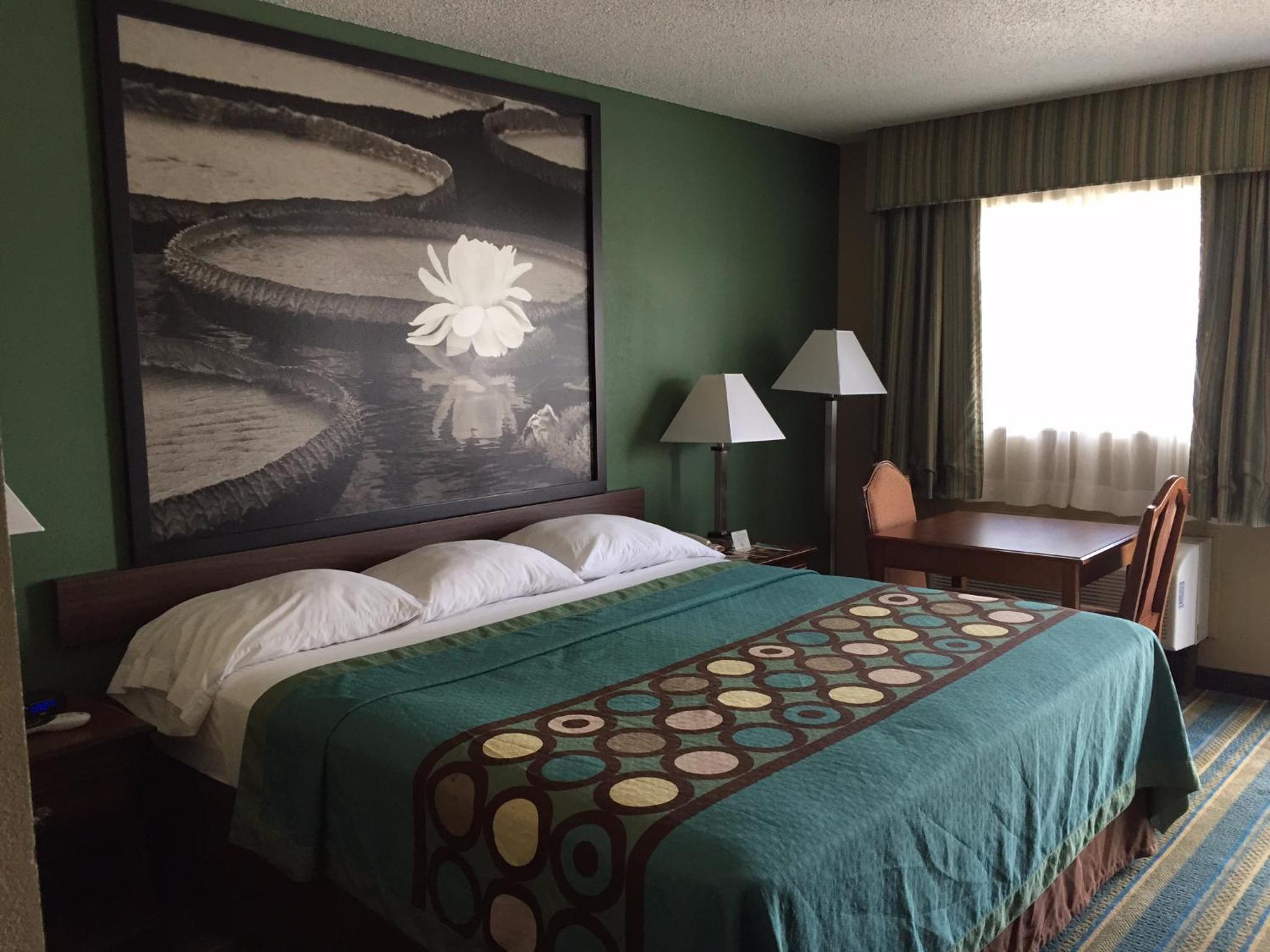 King Room - Non-Smoking - Photo 1