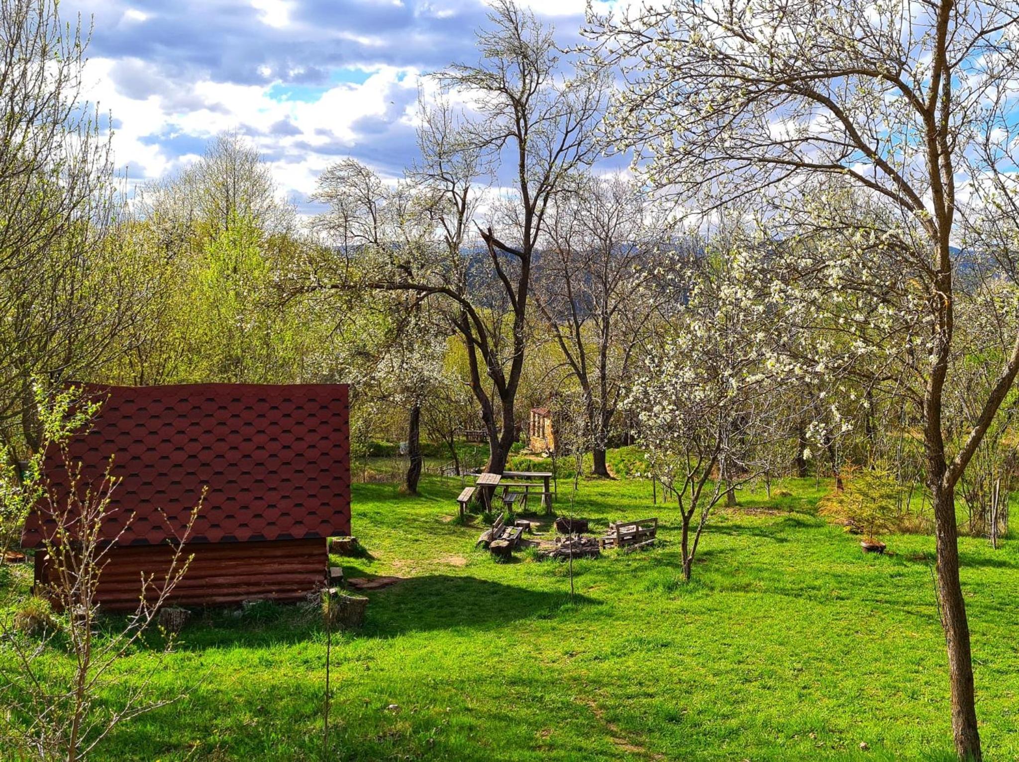 Double Room with Garden View photo 1
